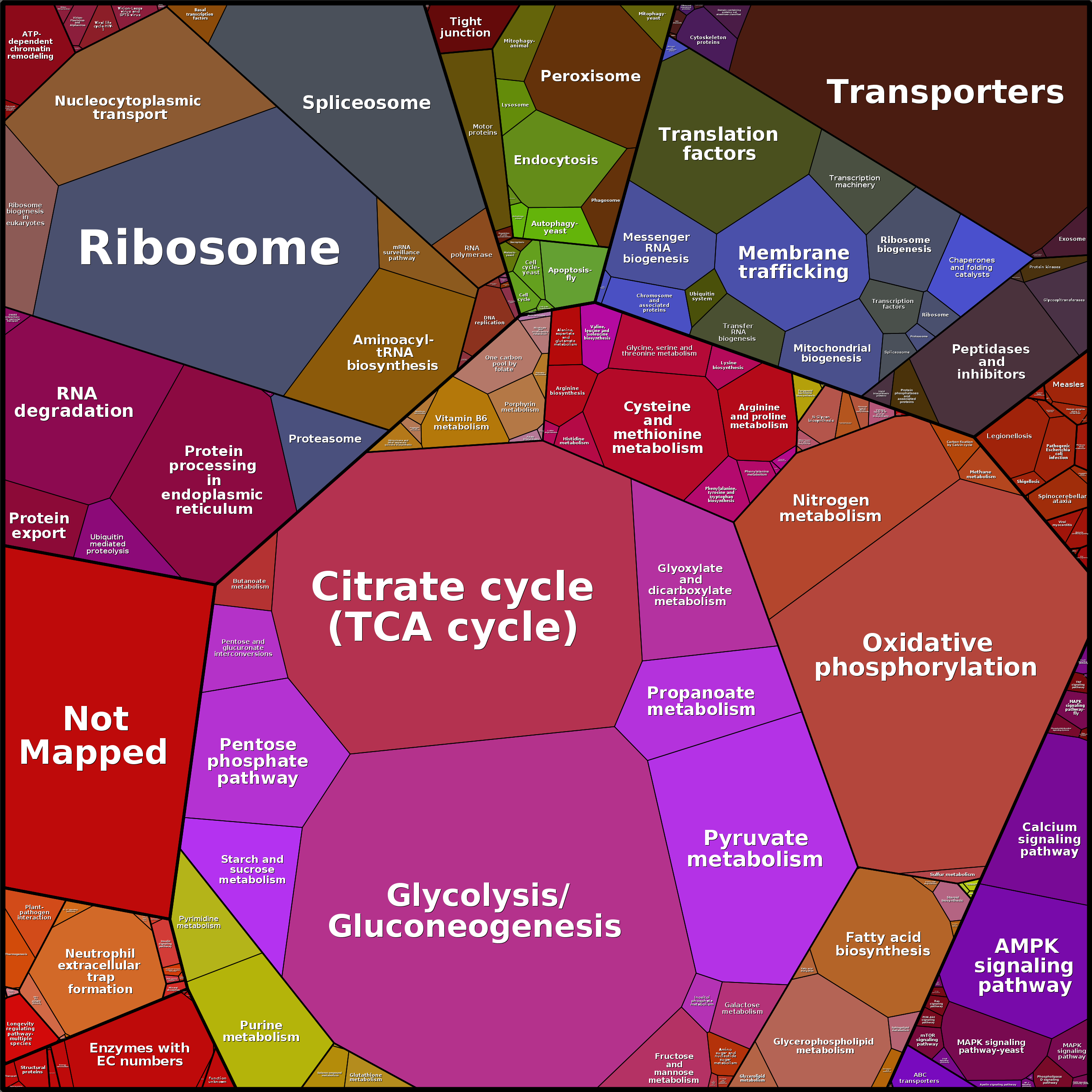 Treemap Press Ctrl-F5