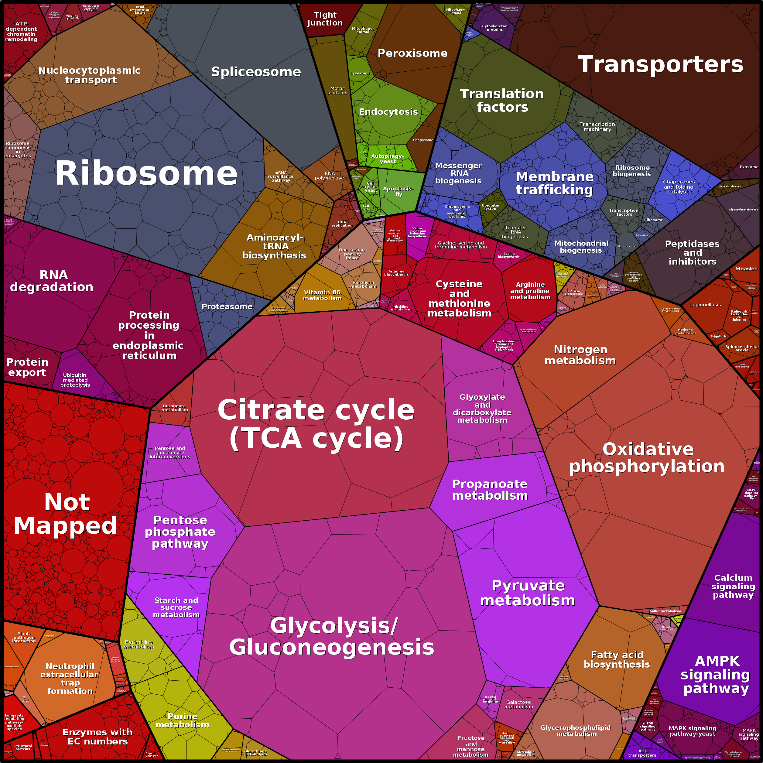 Treemap Press Ctrl-F5