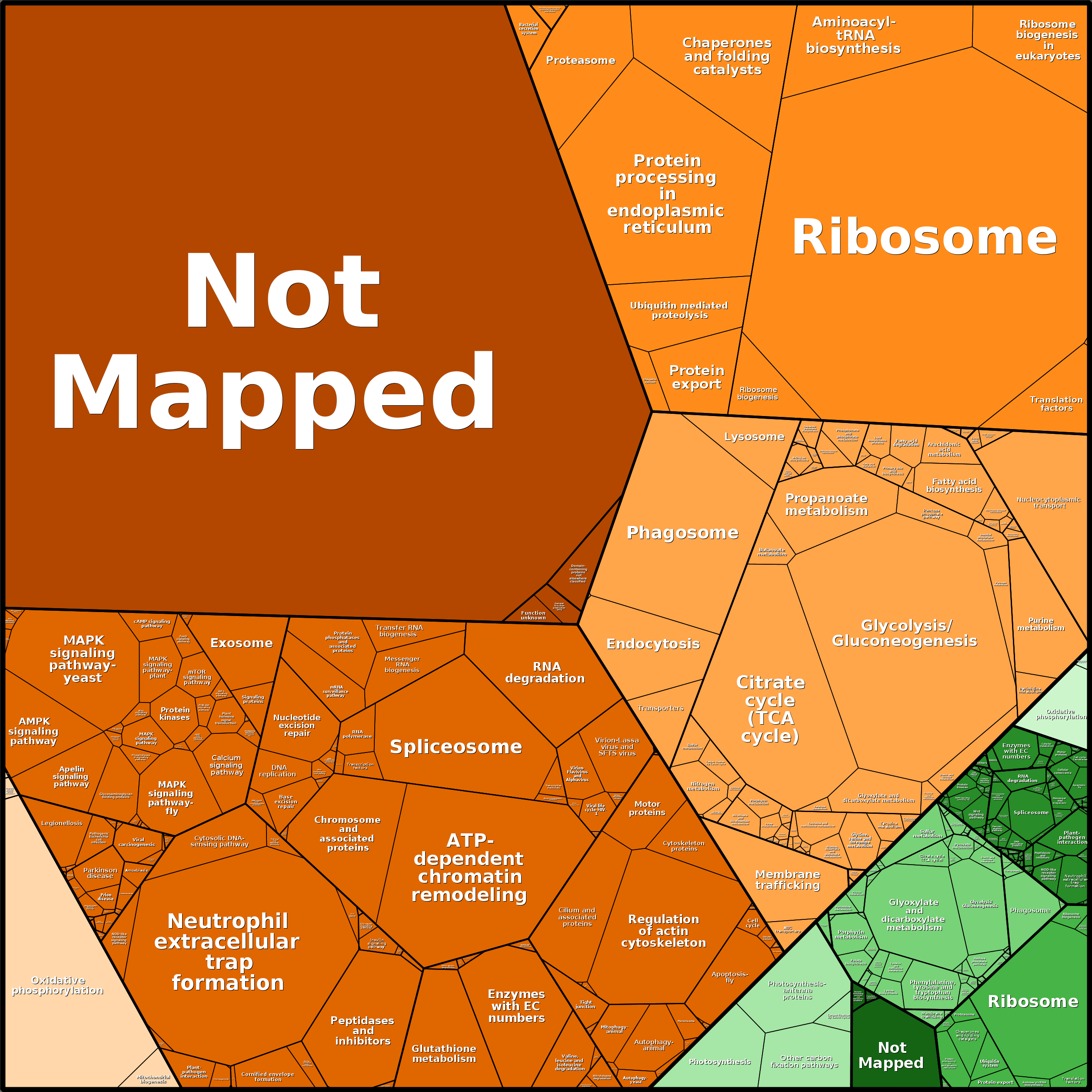 Treemap Press Ctrl-F5
