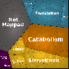 mm_f_p