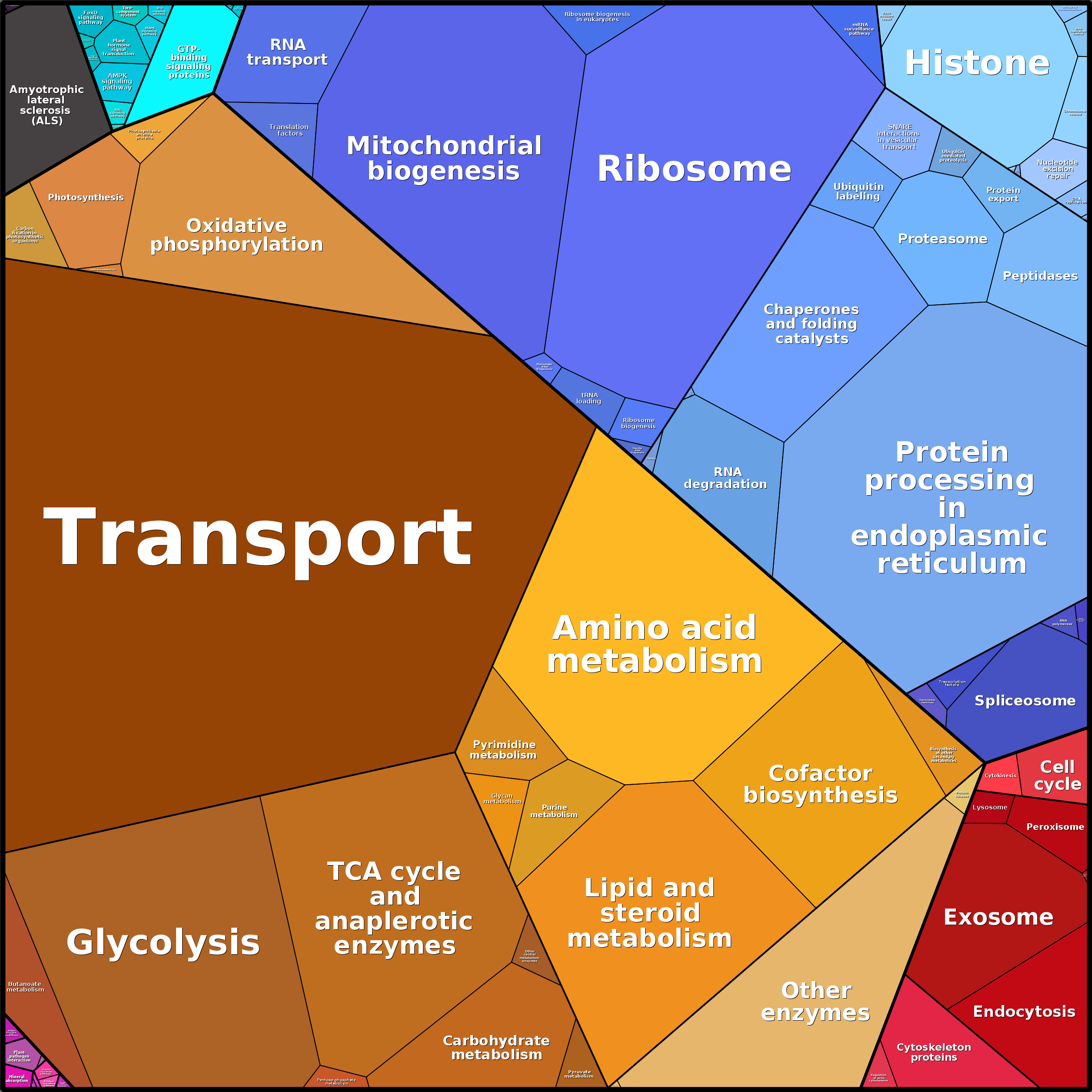 Treemap Press Ctrl-F5