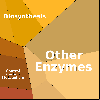 Up expressed Exponential