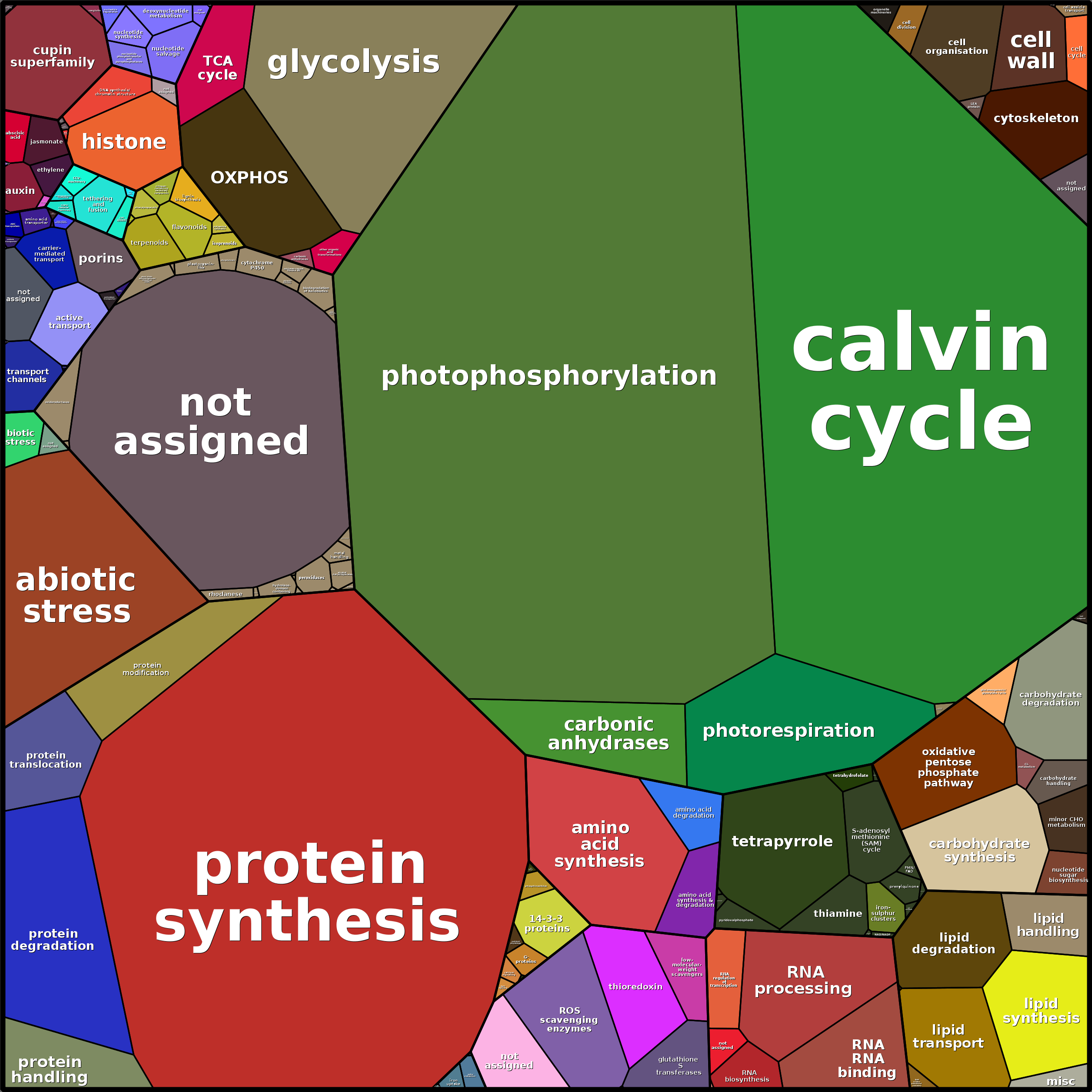 Treemap Press Ctrl-F5