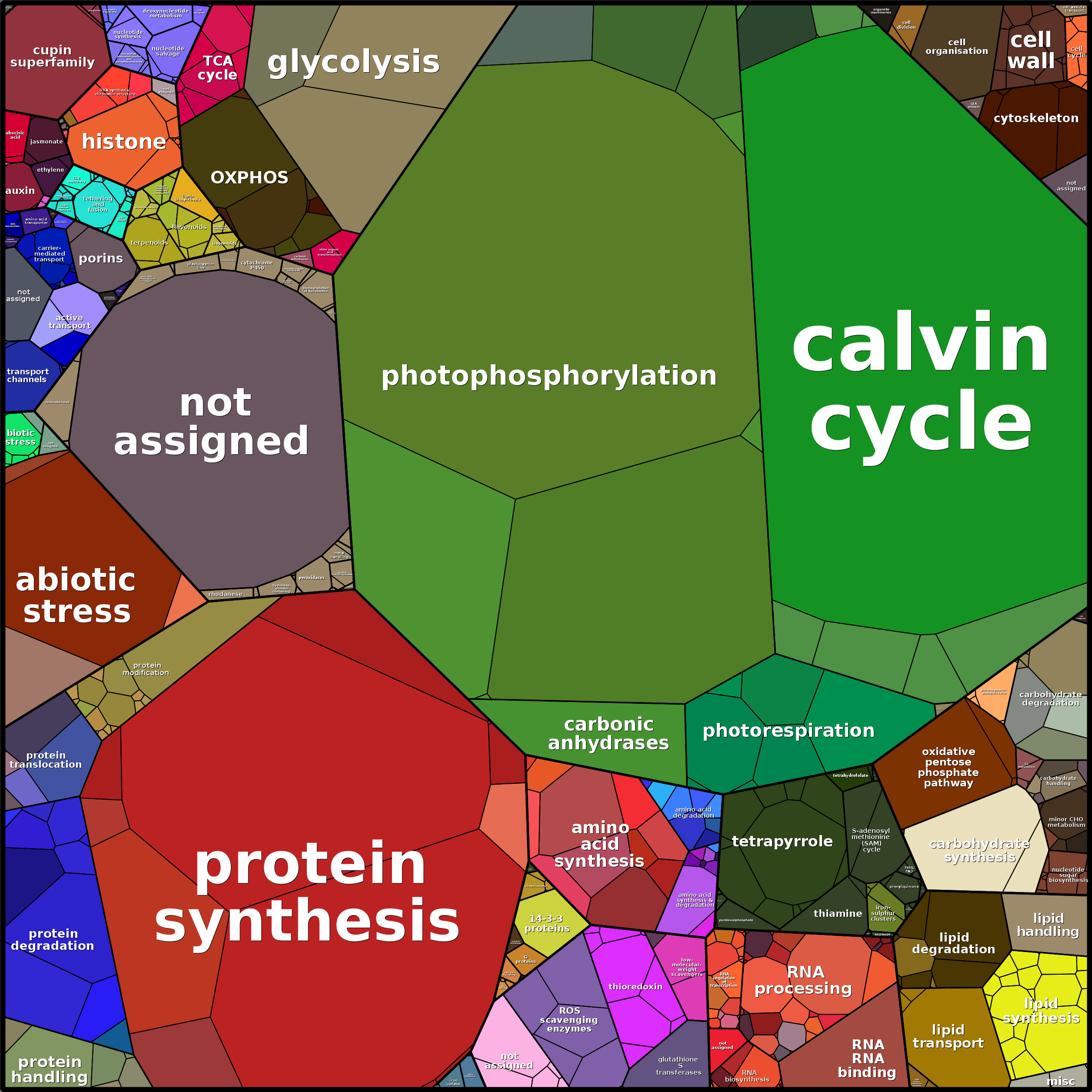 Treemap Press Ctrl-F5