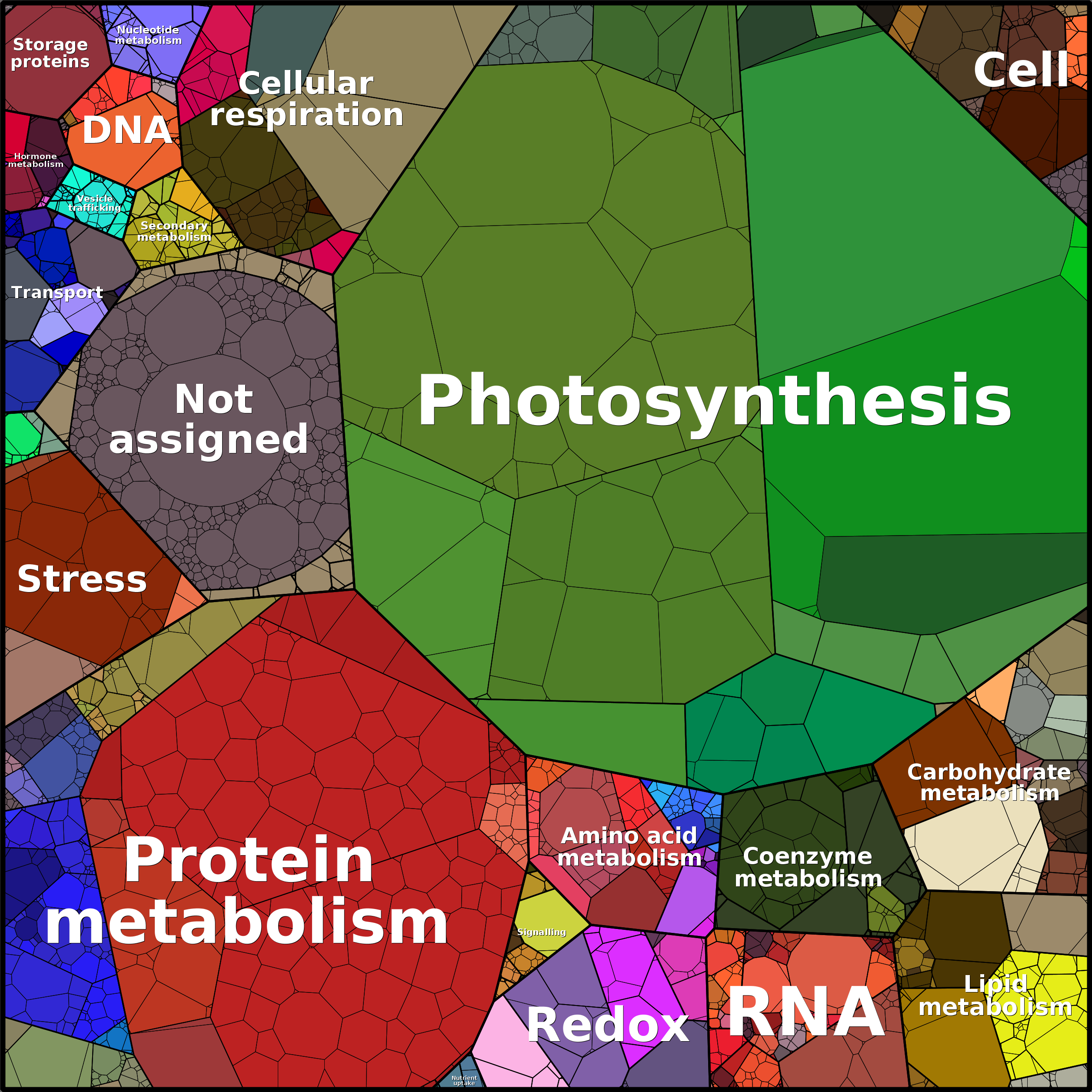 Treemap Press Ctrl-F5