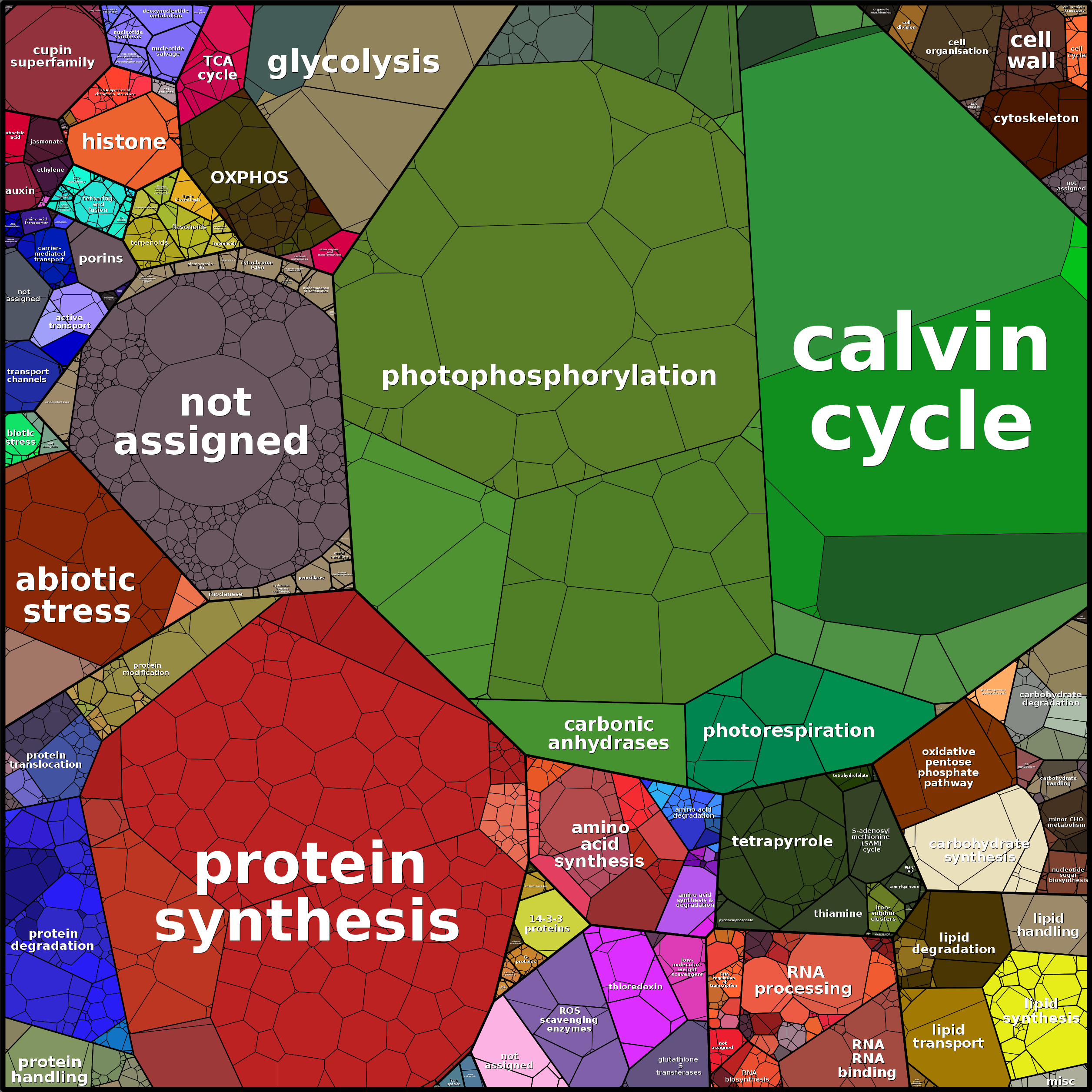 Treemap Press Ctrl-F5