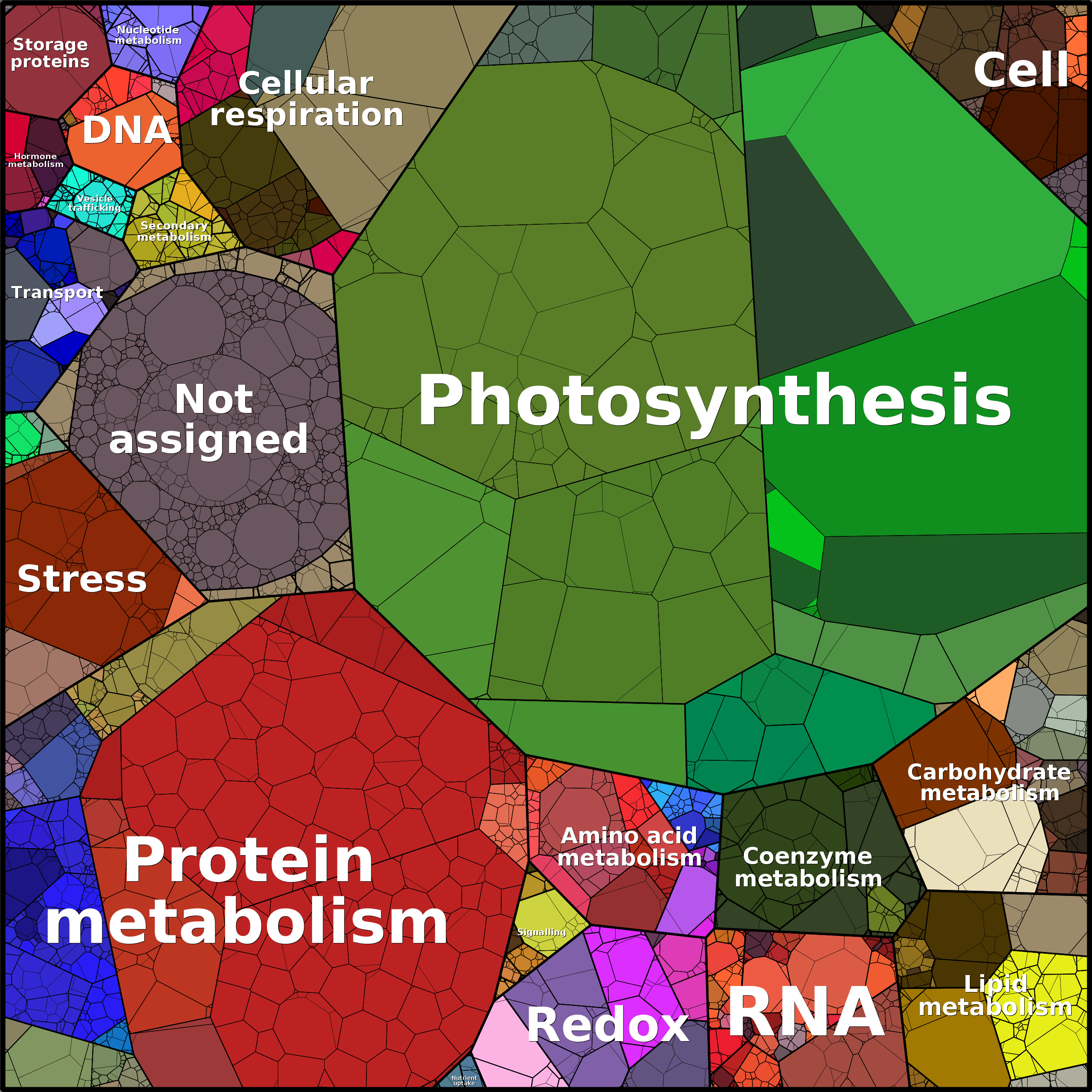 Treemap Press Ctrl-F5