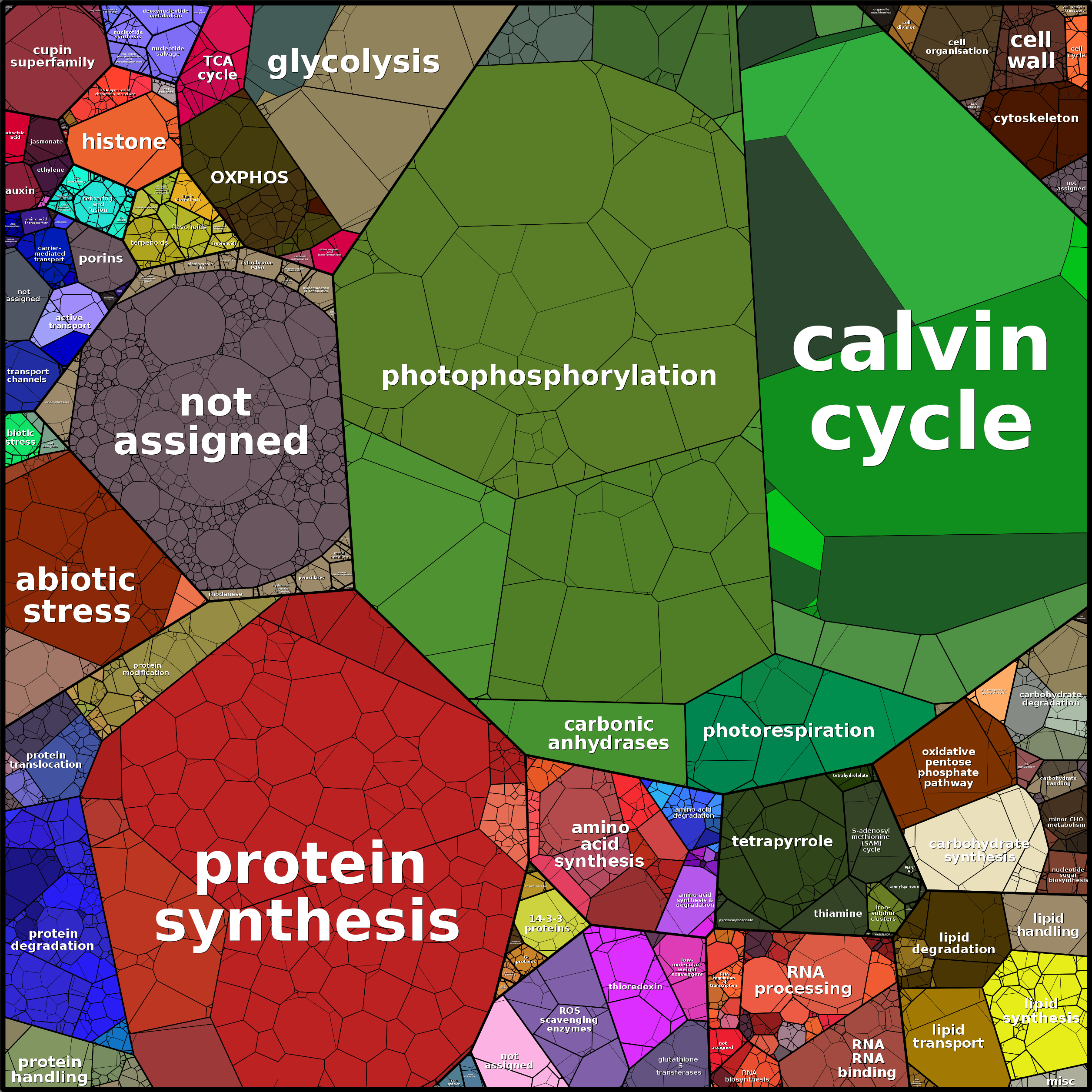 Treemap Press Ctrl-F5