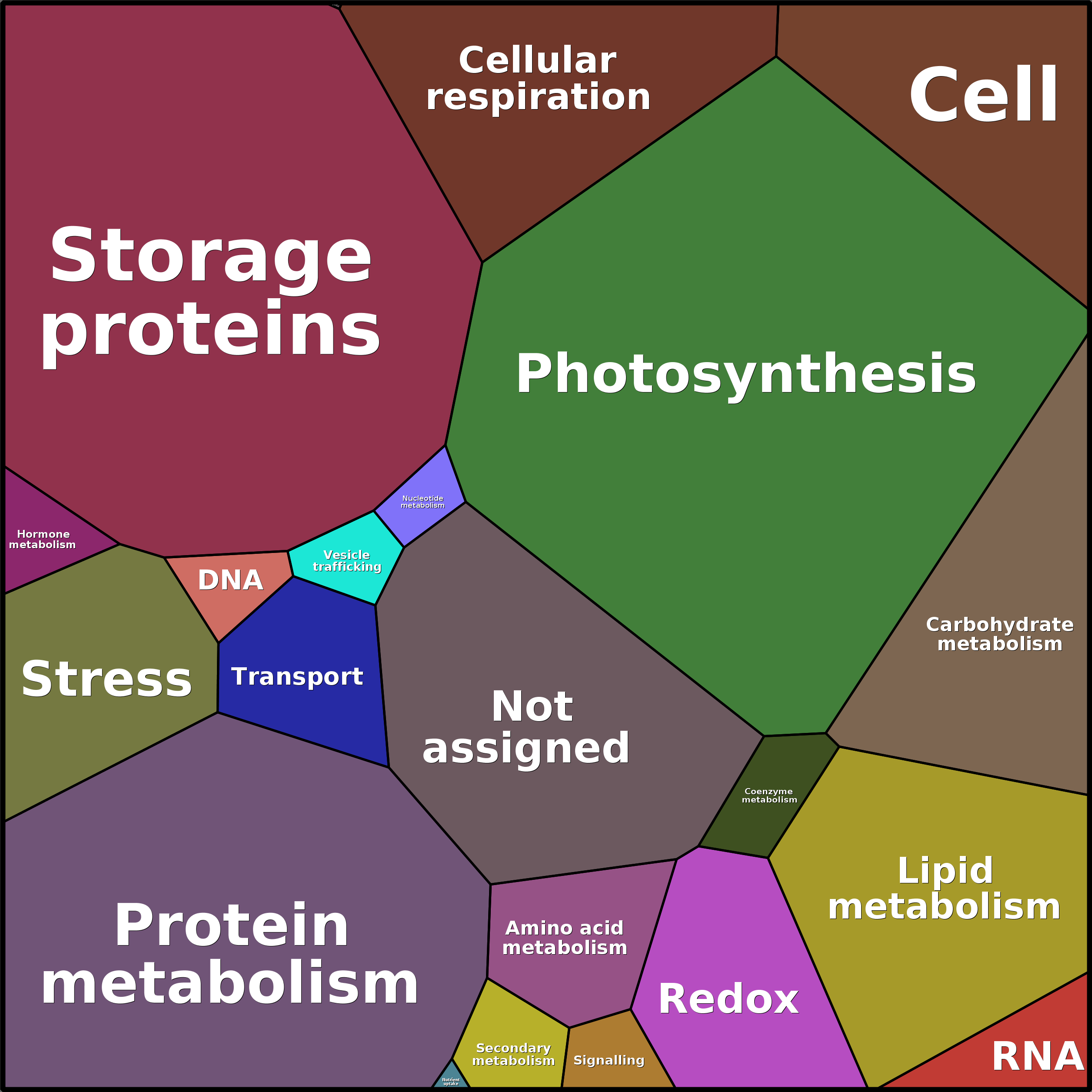 Treemap Press Ctrl-F5