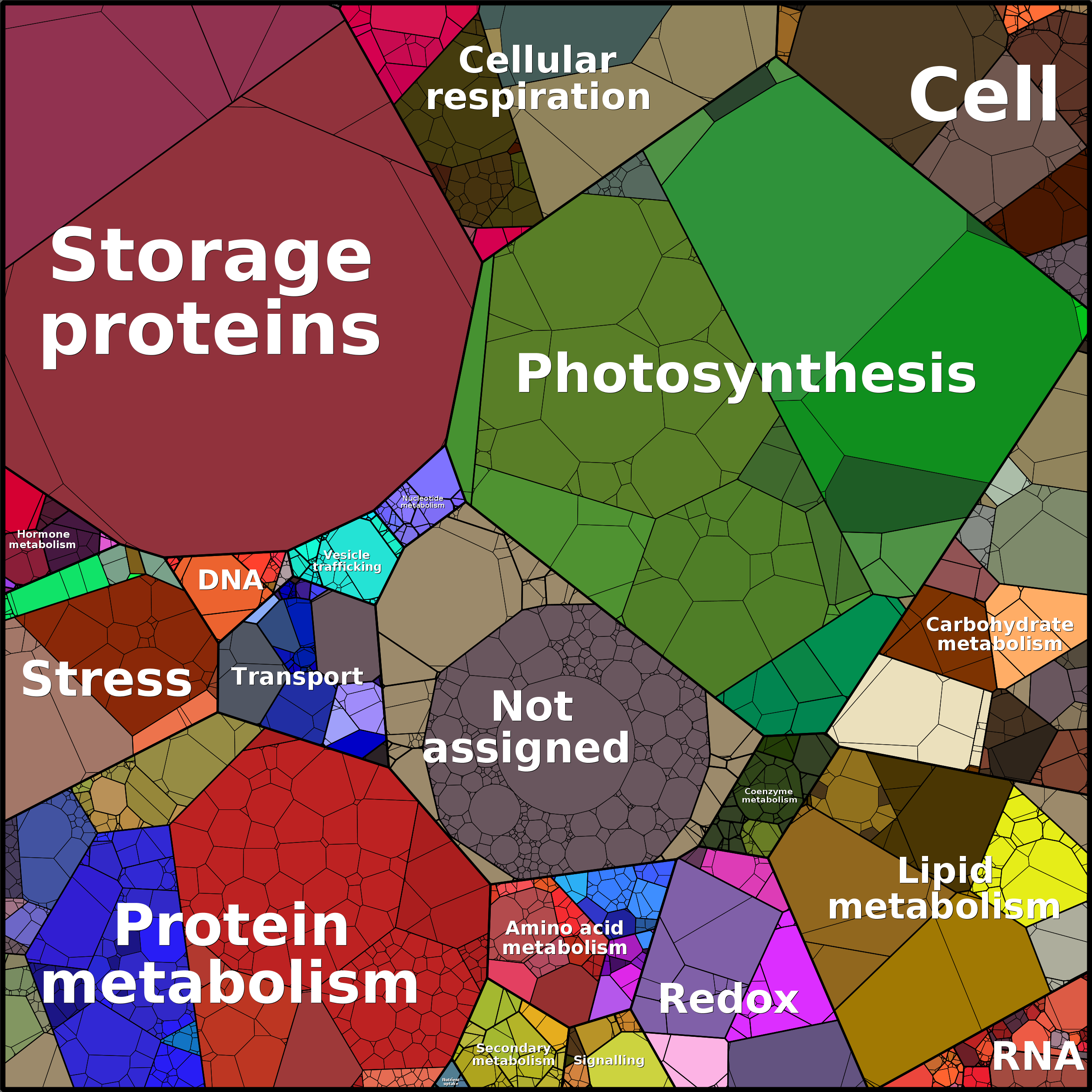 Treemap Press Ctrl-F5