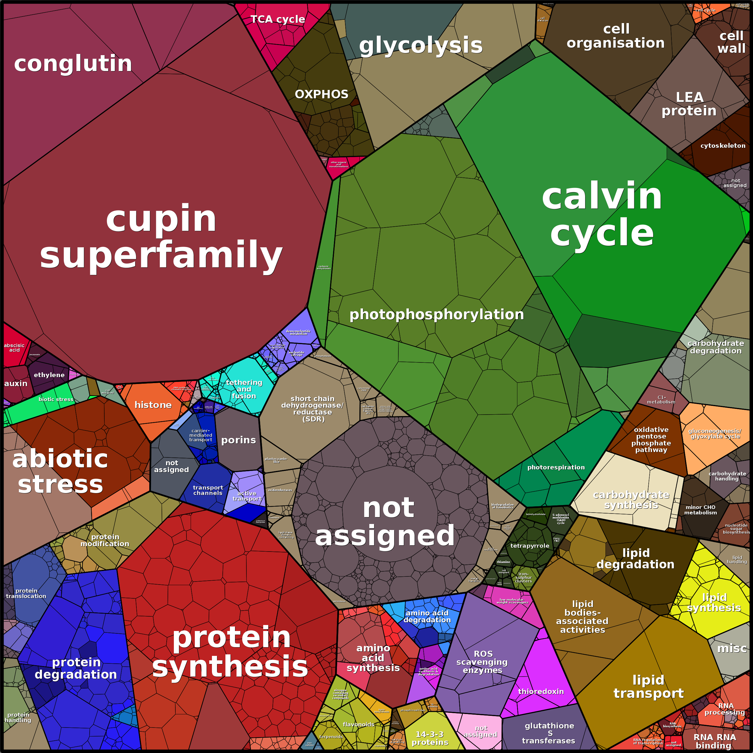 Treemap Press Ctrl-F5