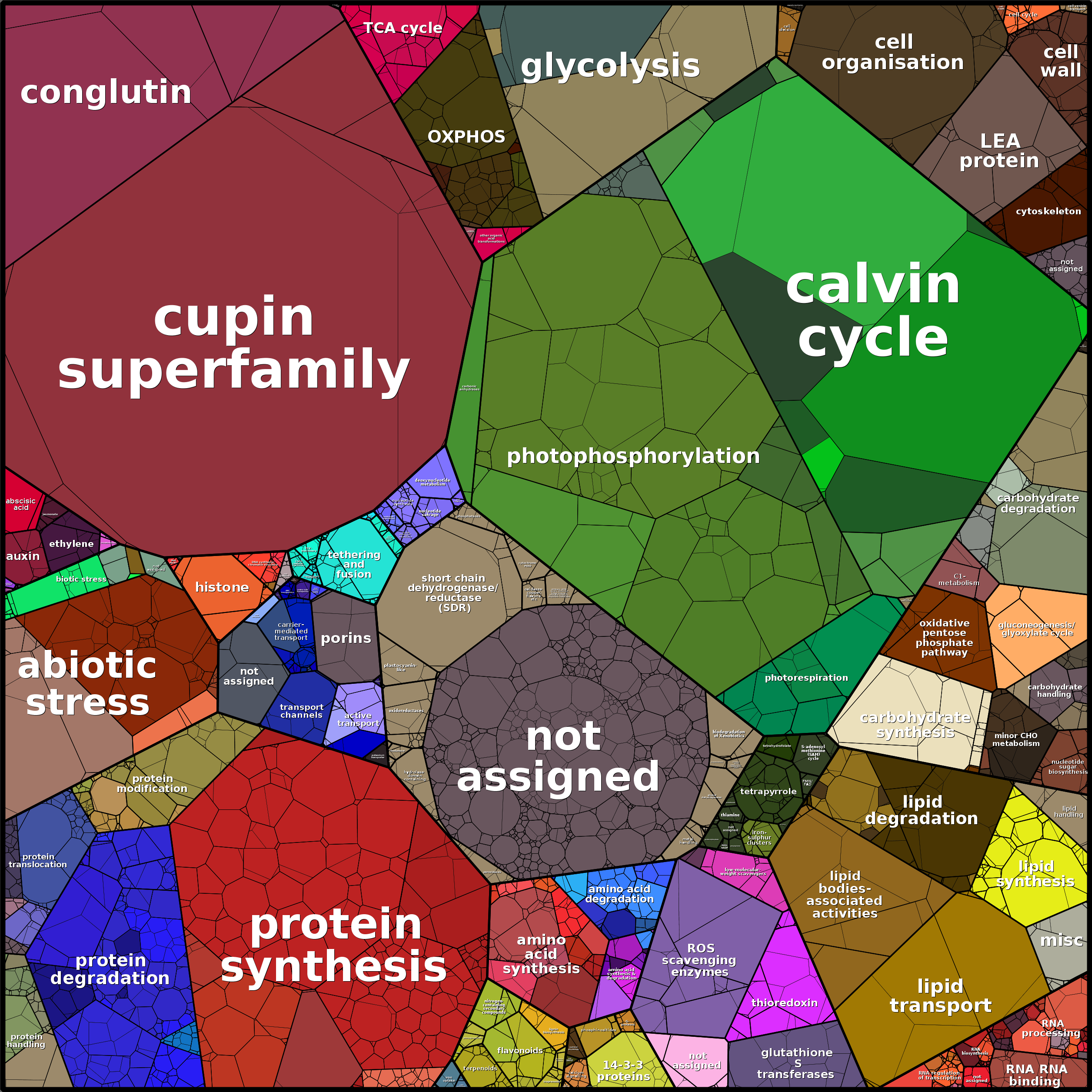 Treemap Press Ctrl-F5