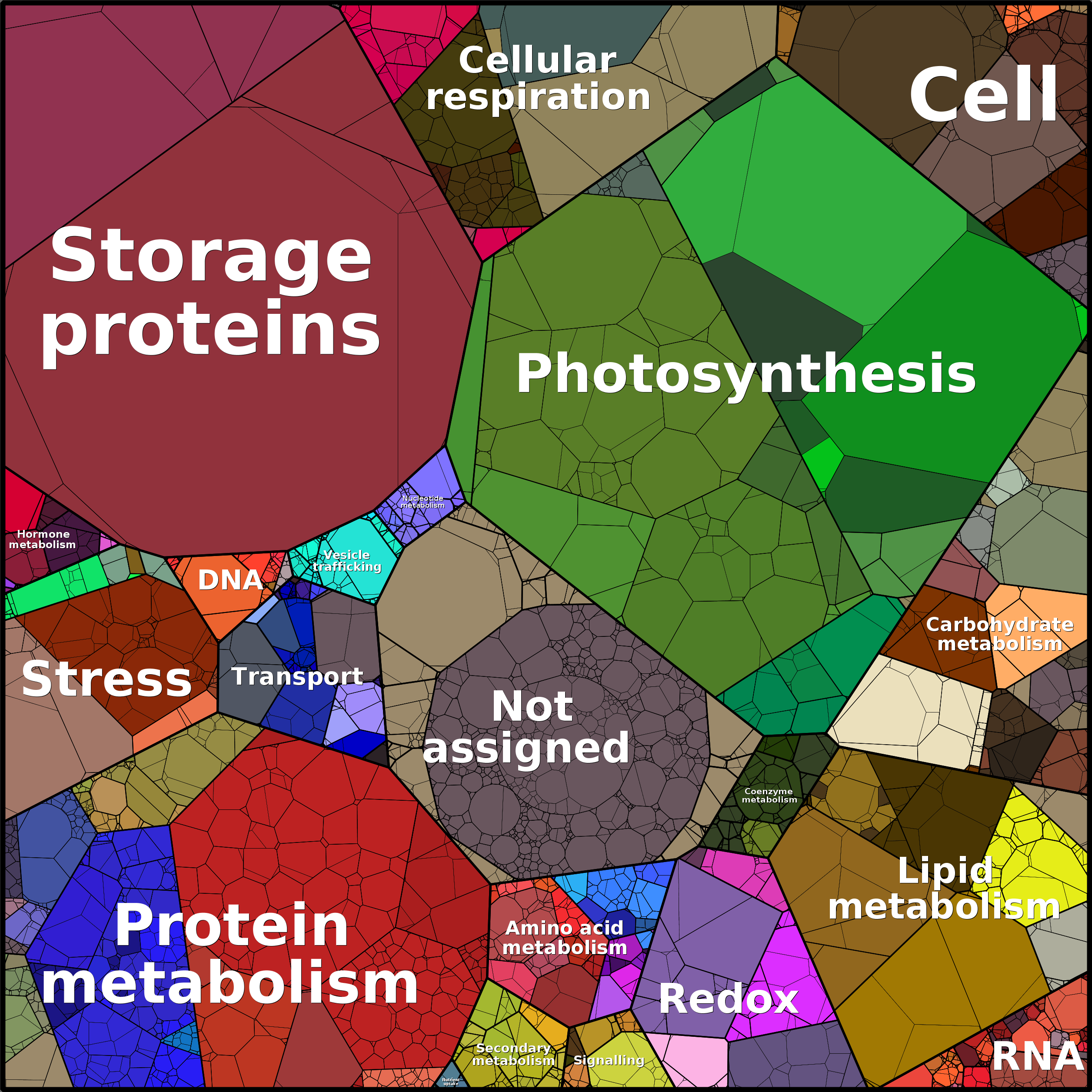 Treemap Press Ctrl-F5