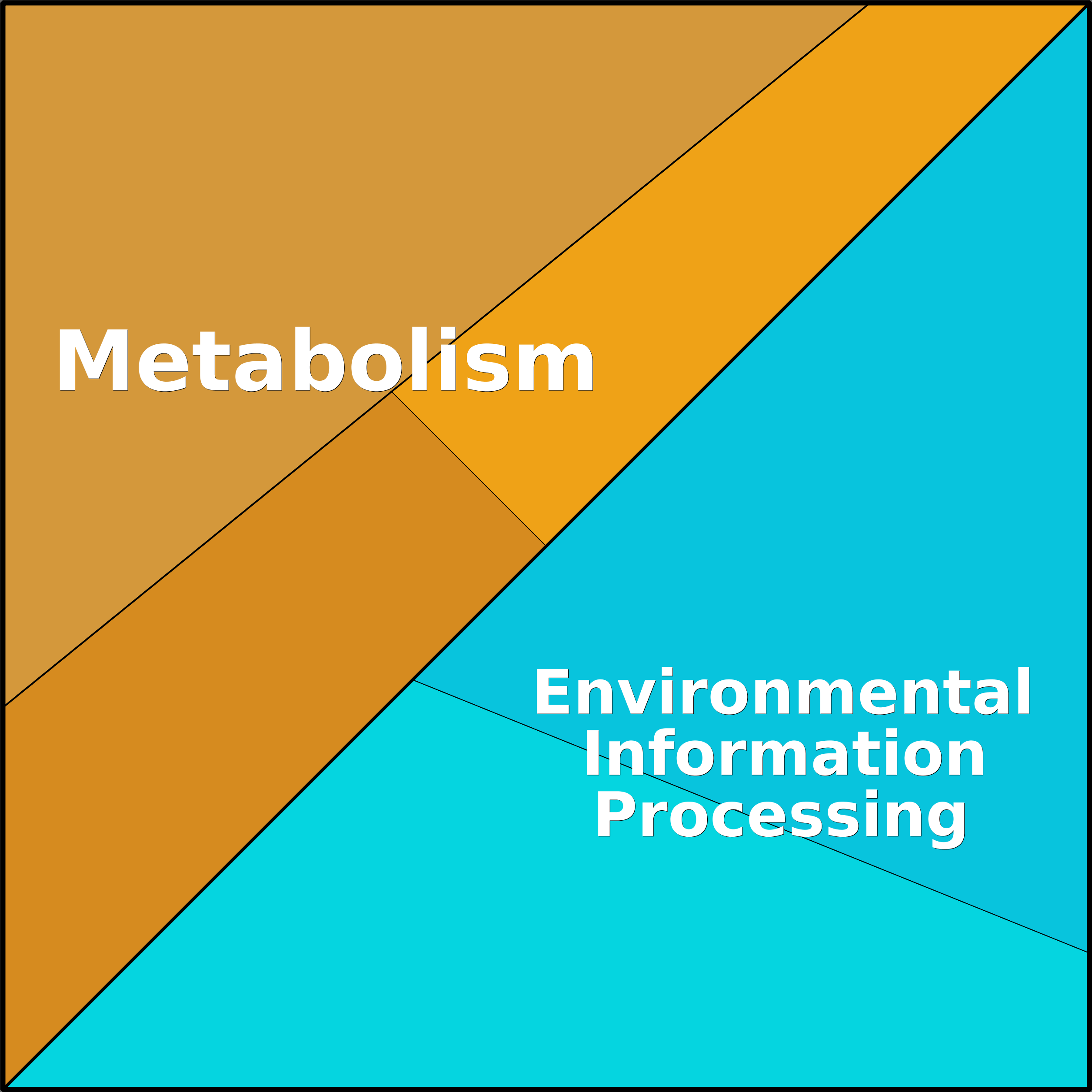 Treemap Press Ctrl-F5