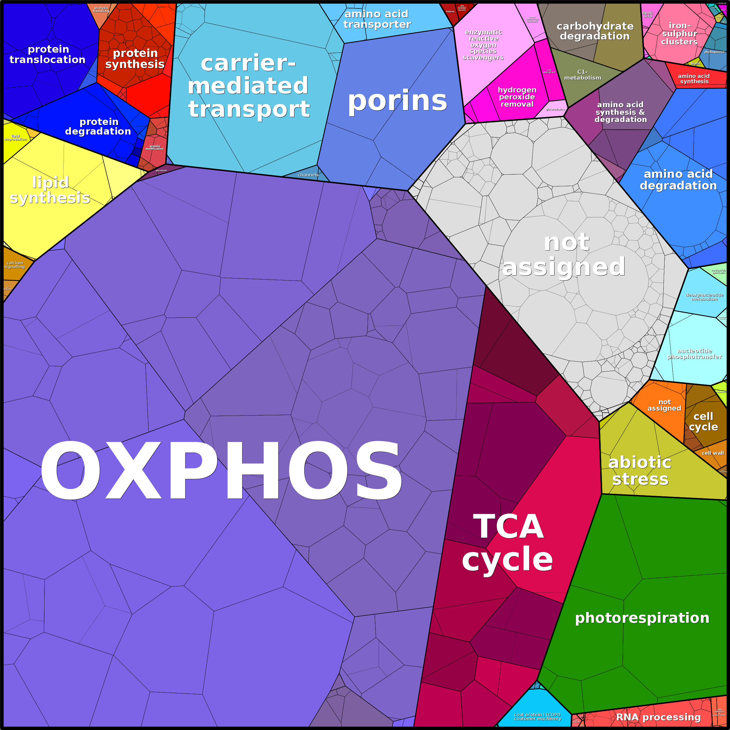 Treemap Press Ctrl-F5