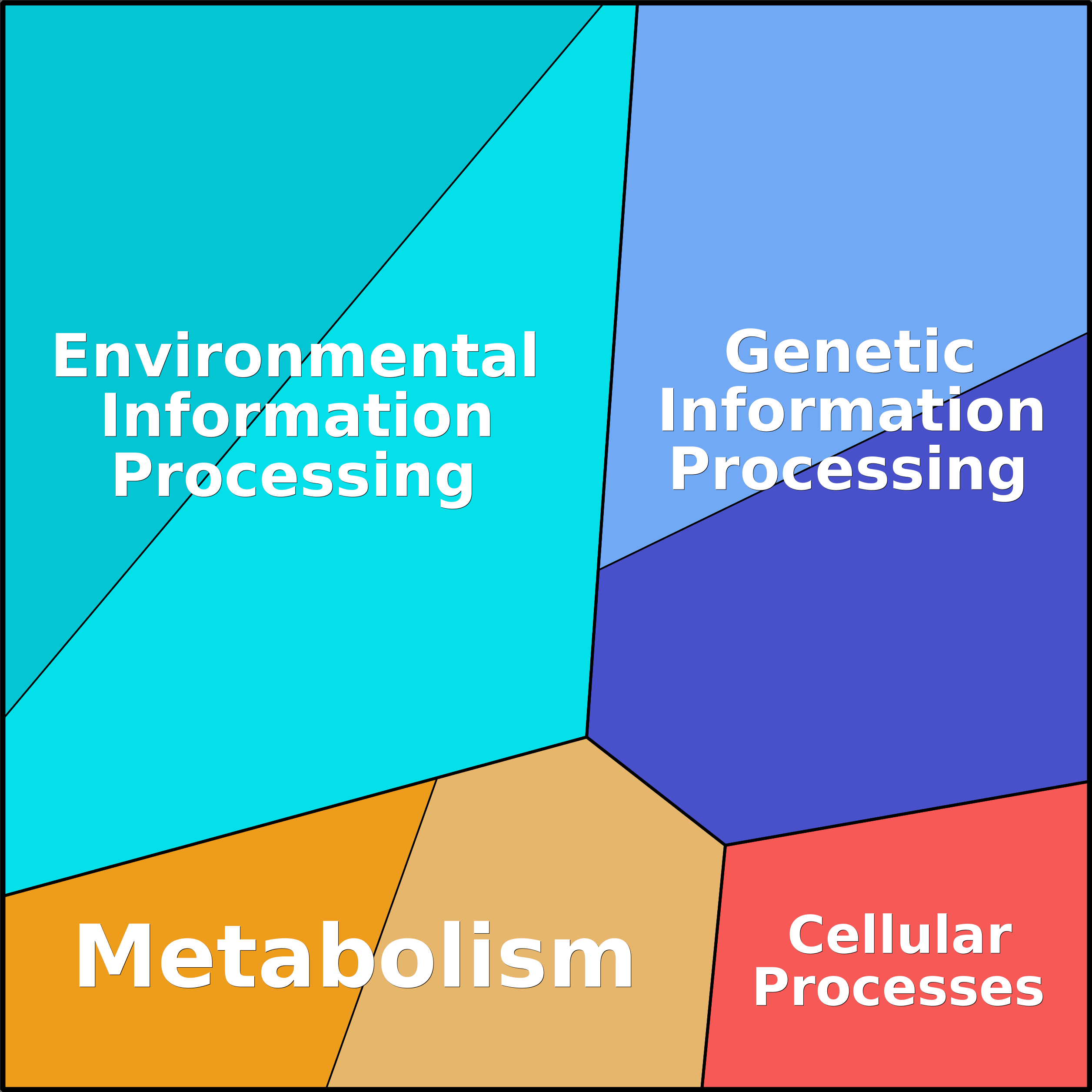 bionic-vis