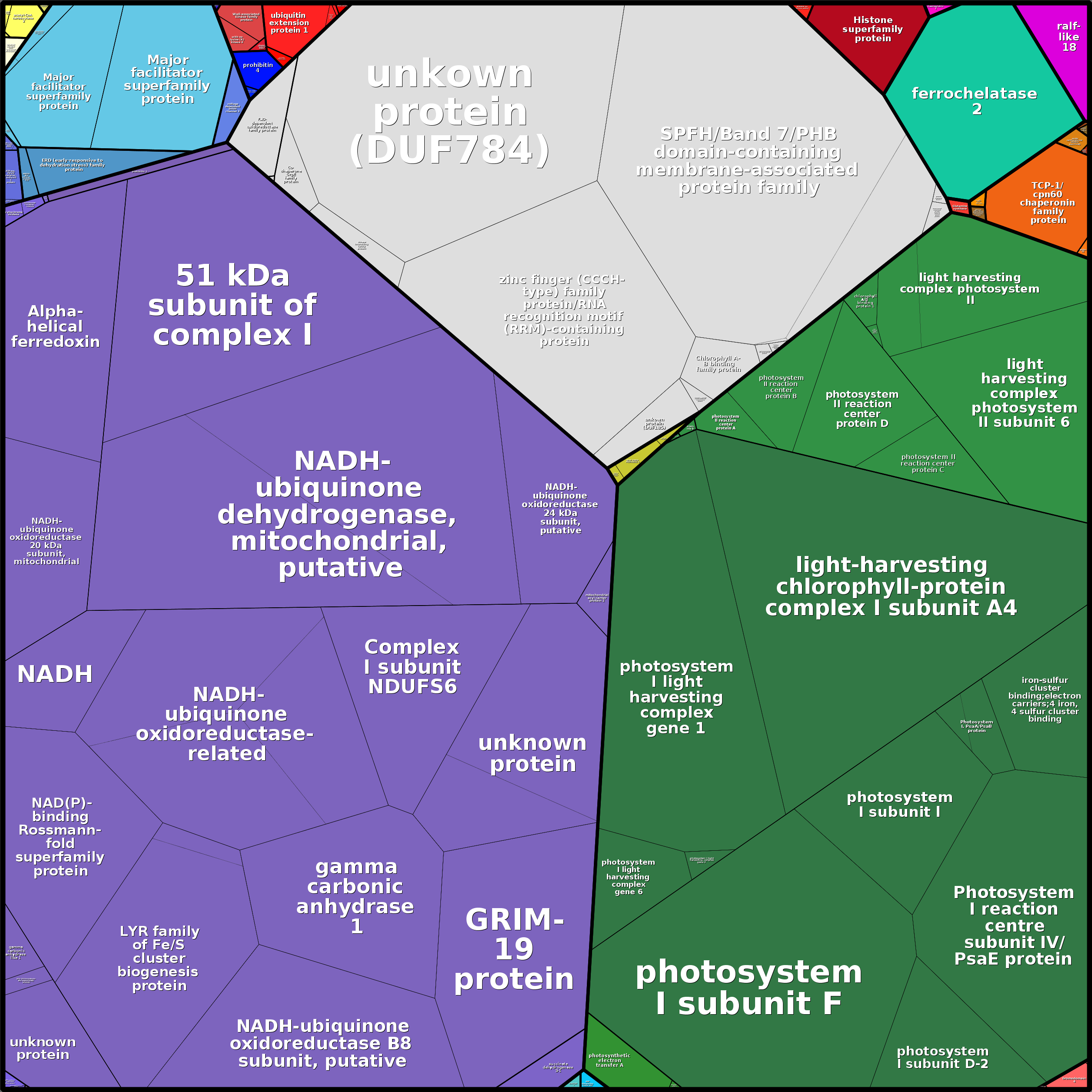 Treemap Press Ctrl-F5