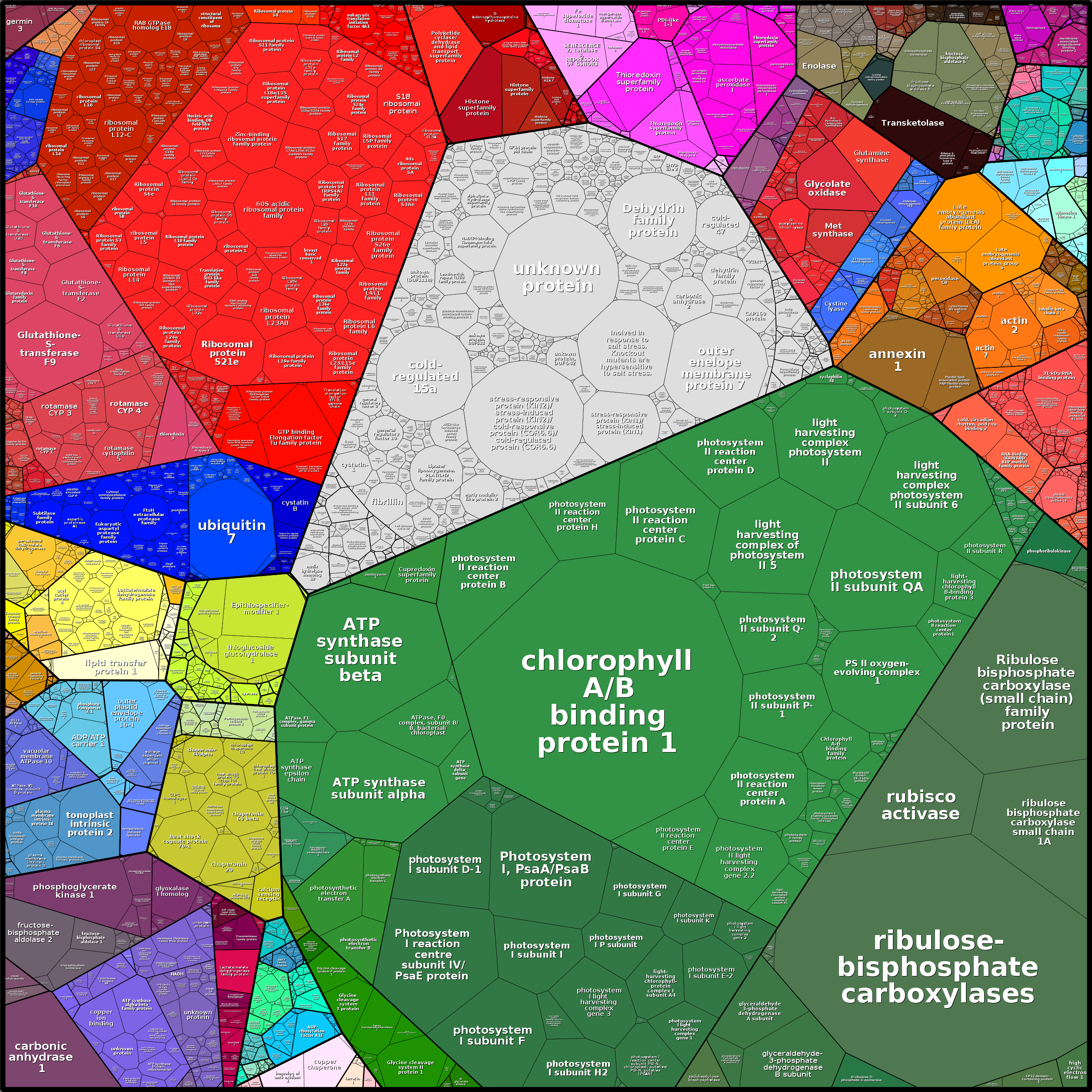 Treemap Press Ctrl-F5