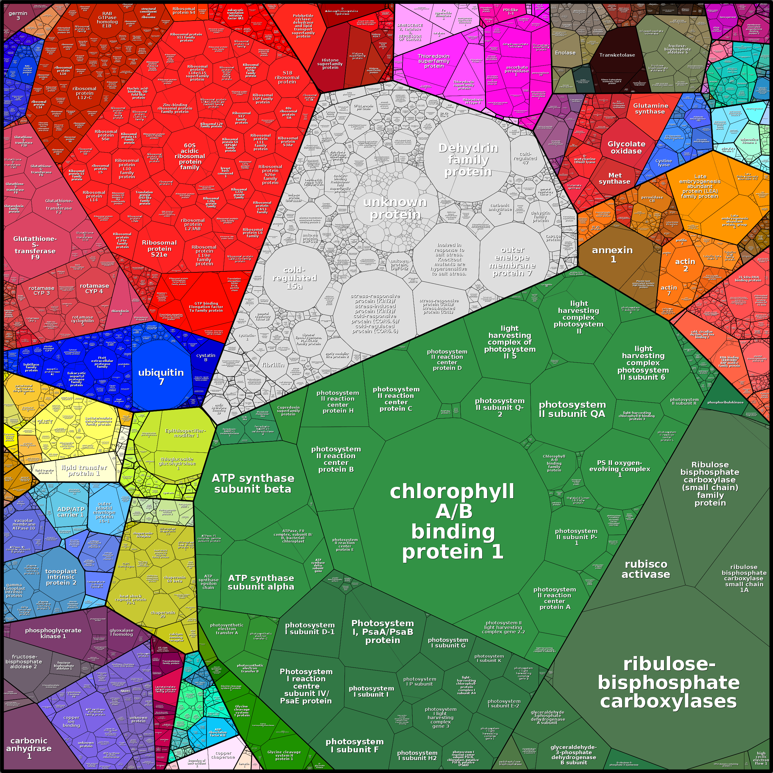 Treemap Press Ctrl-F5