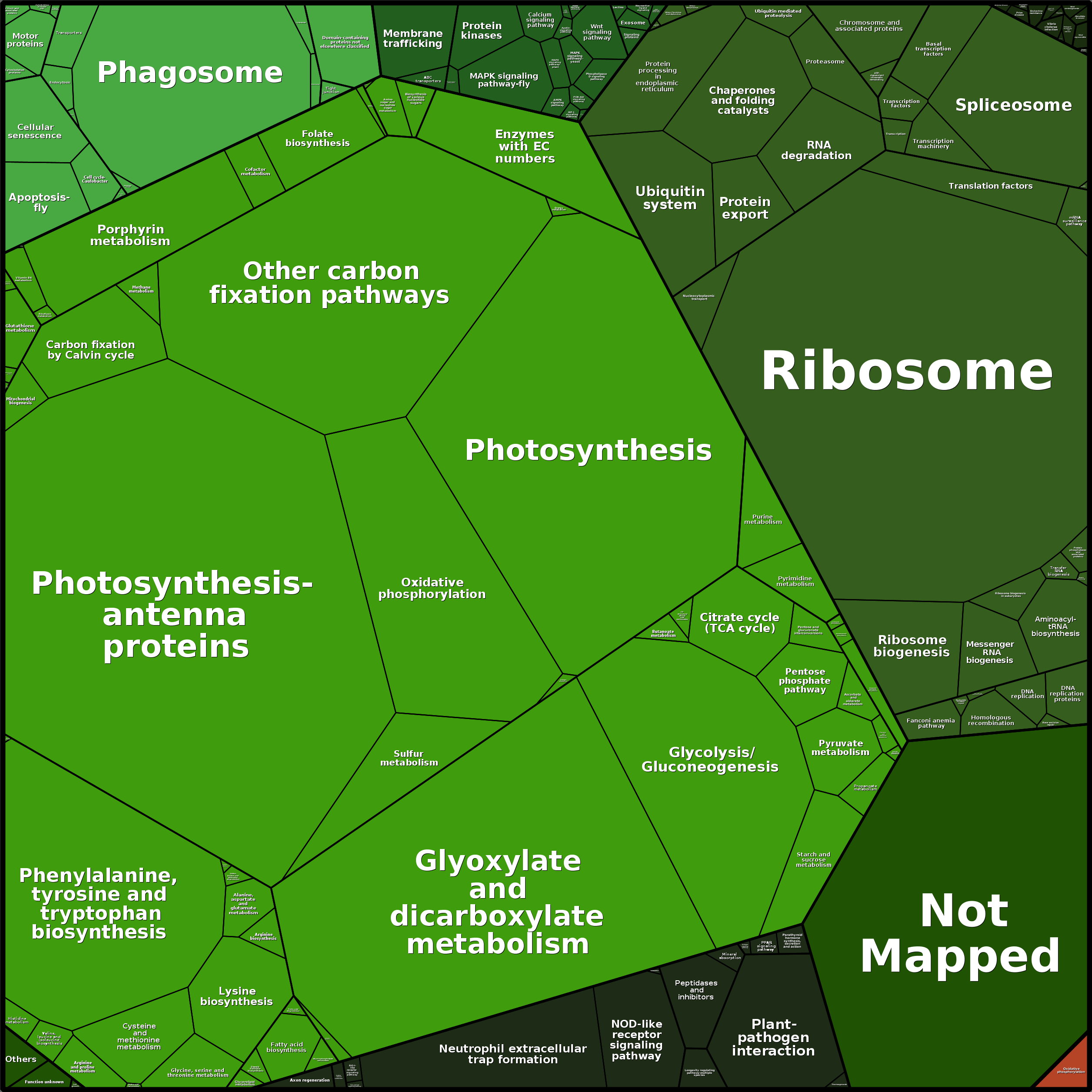 Treemap Press Ctrl-F5