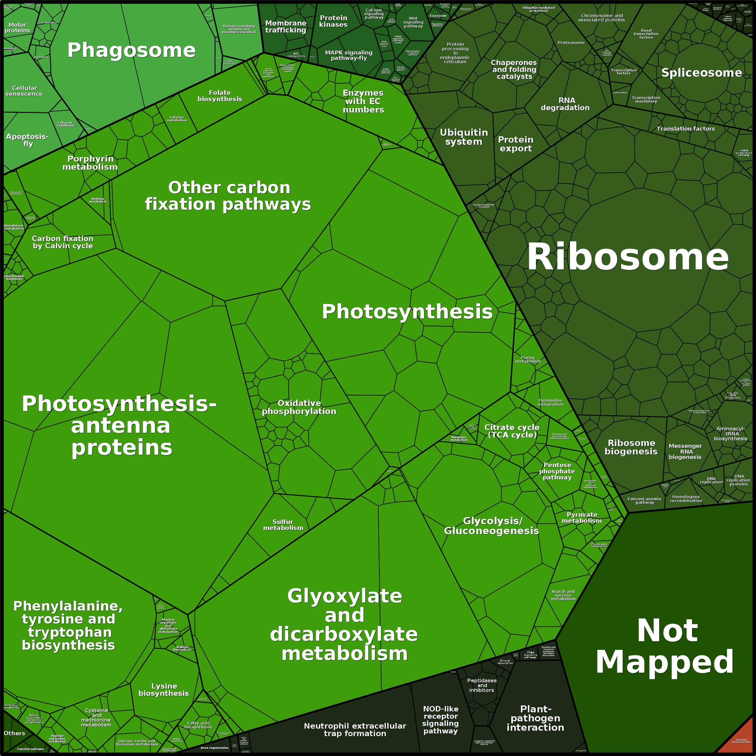 Treemap Press Ctrl-F5