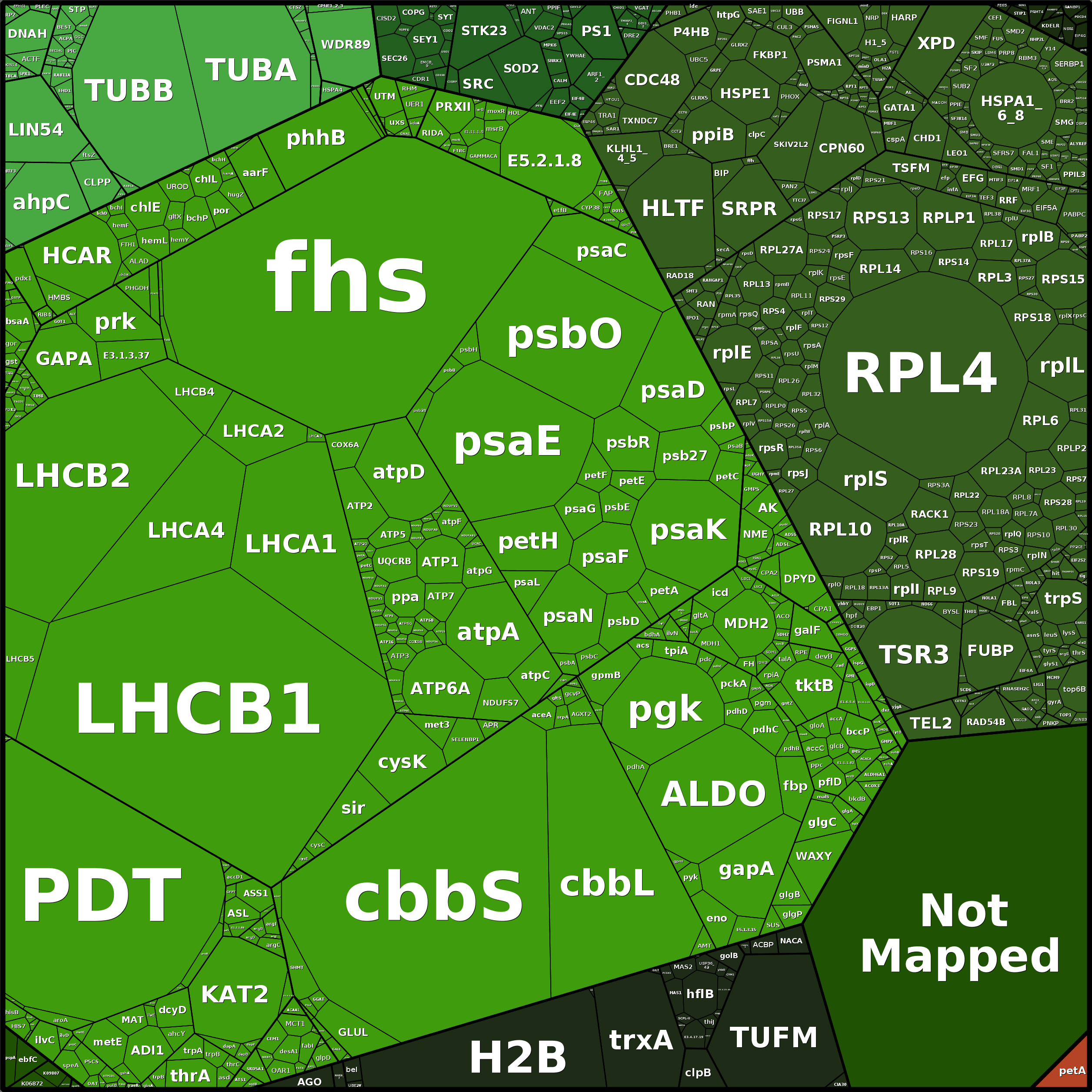 Treemap Press Ctrl-F5