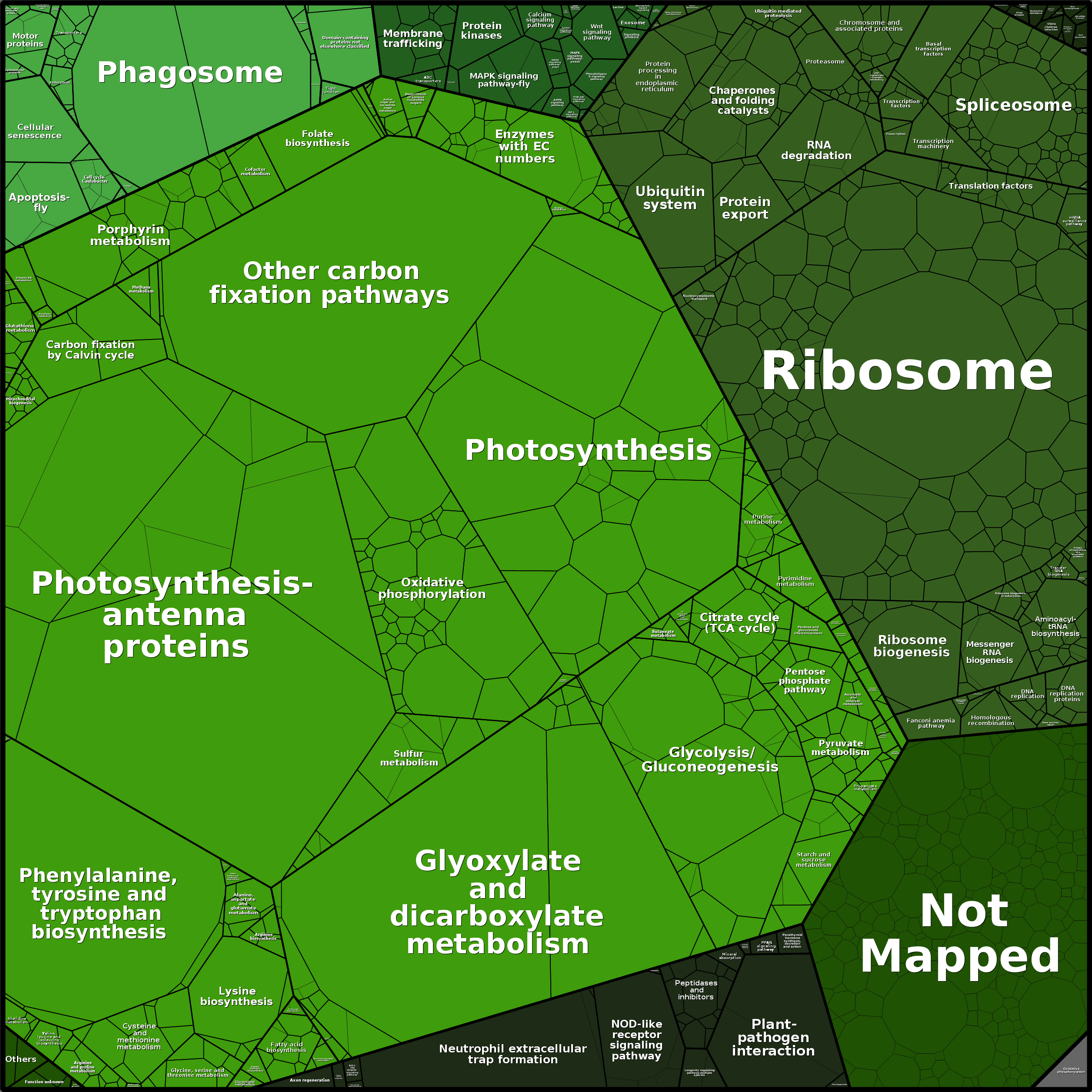 Treemap Press Ctrl-F5