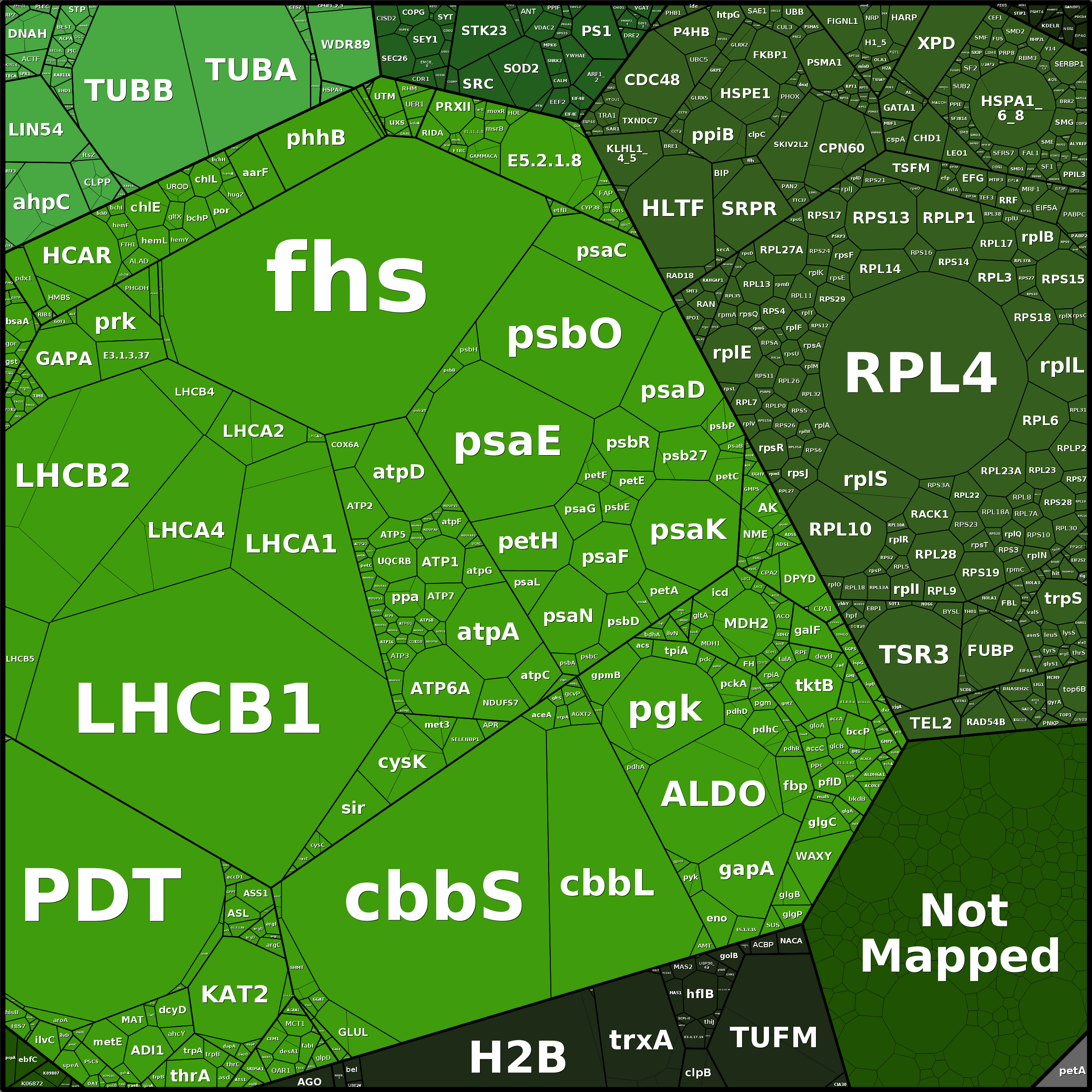 Treemap Press Ctrl-F5
