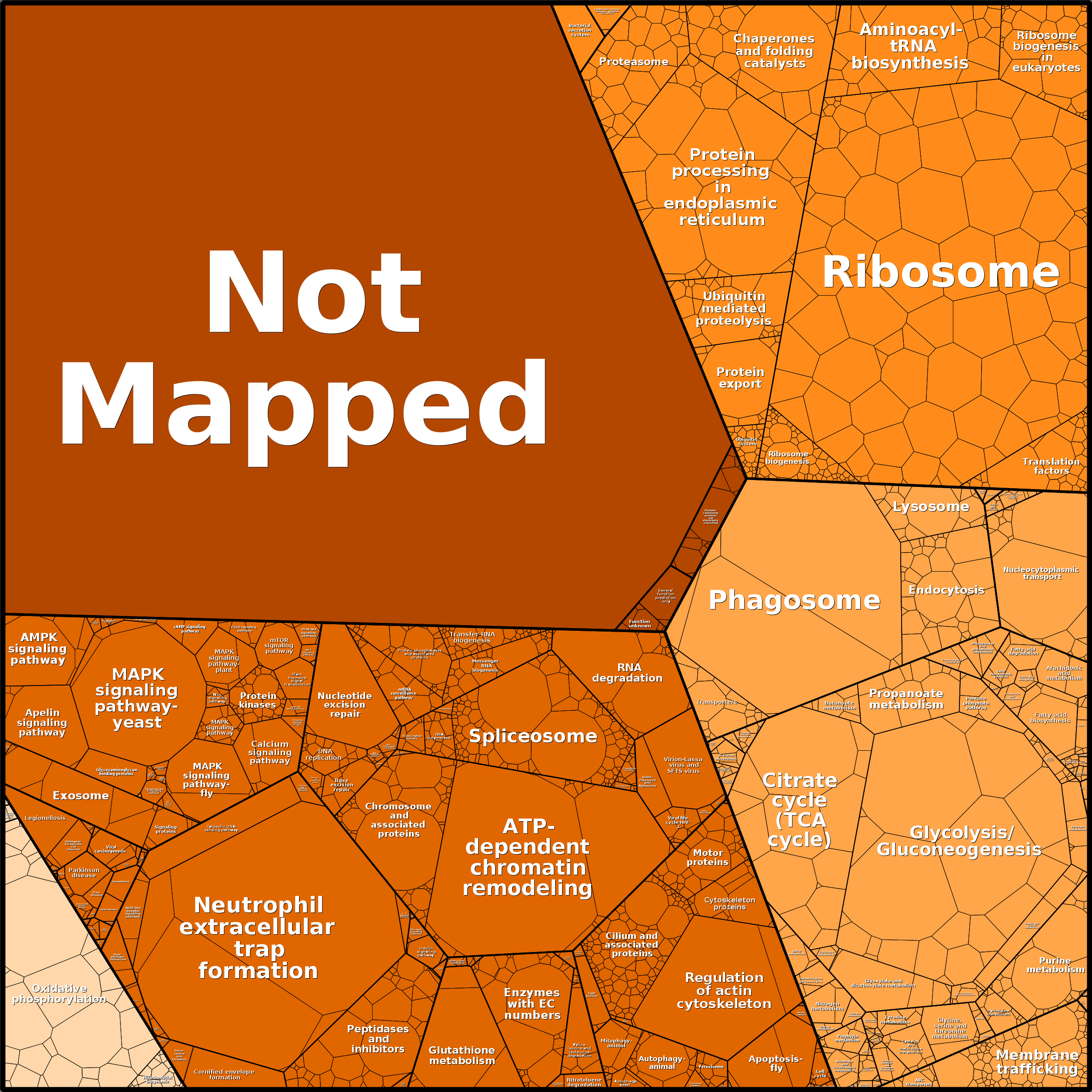 Treemap Press Ctrl-F5