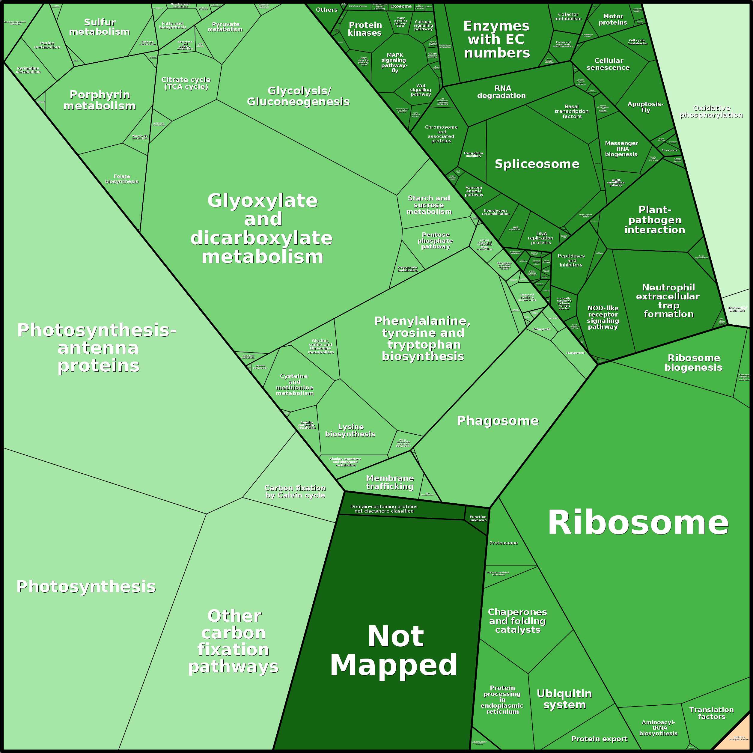 Treemap Press Ctrl-F5