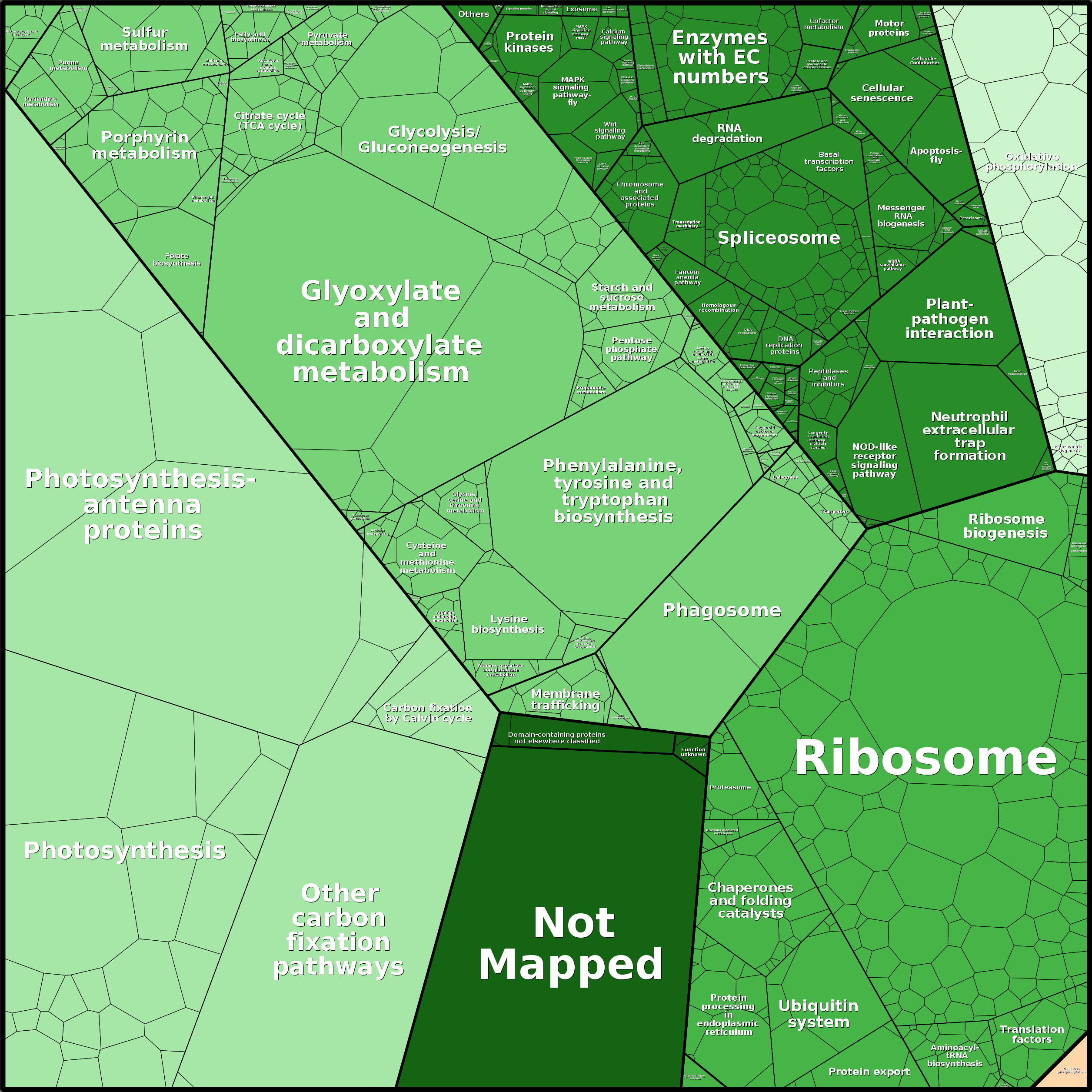 Treemap Press Ctrl-F5
