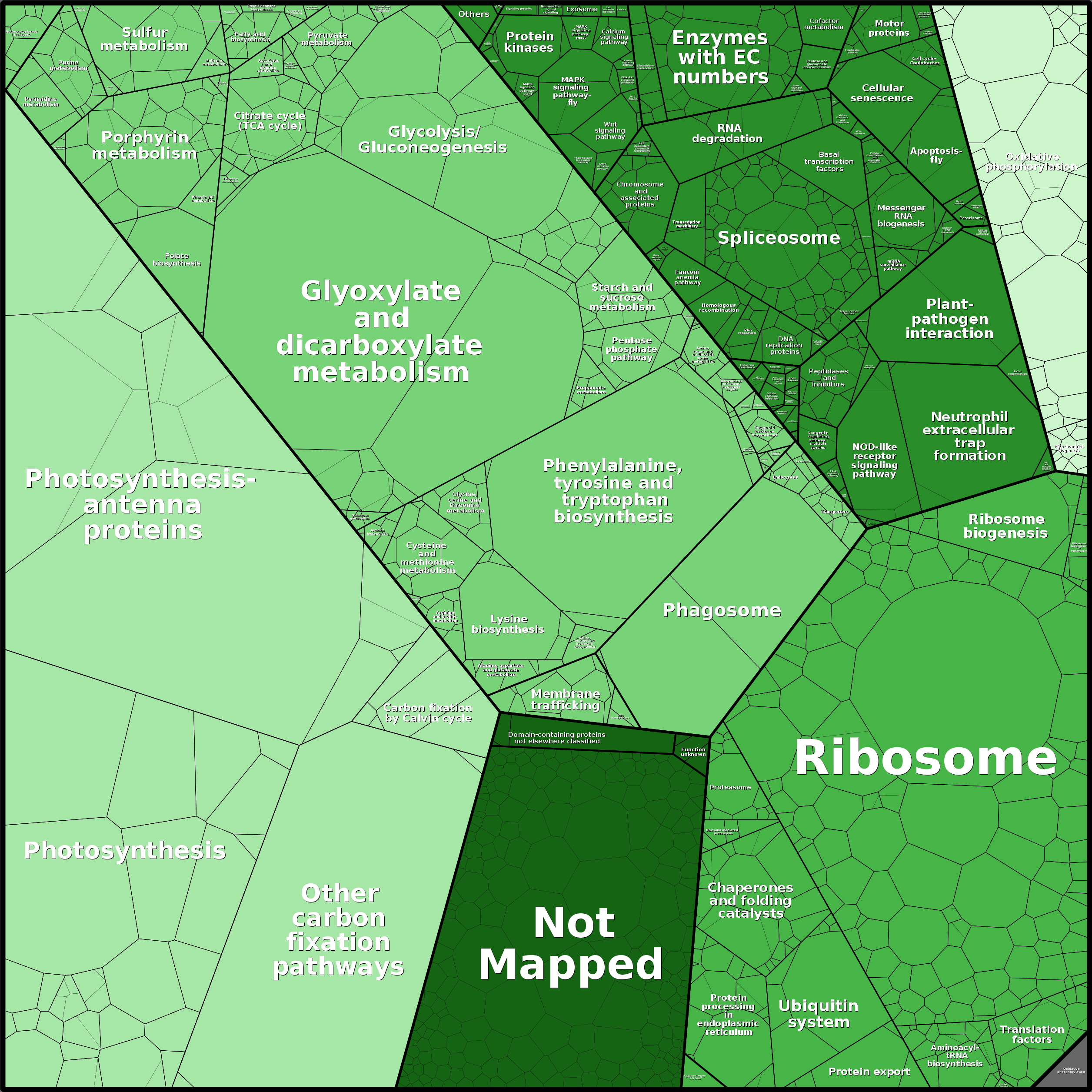 Treemap Press Ctrl-F5