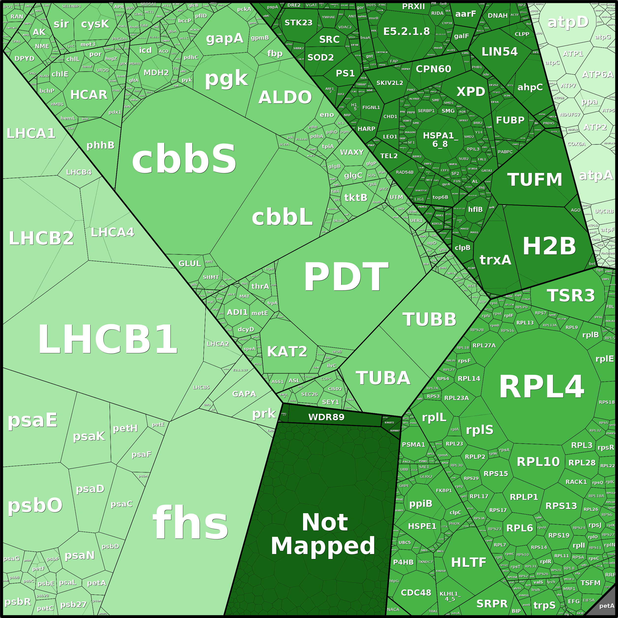 Treemap Press Ctrl-F5