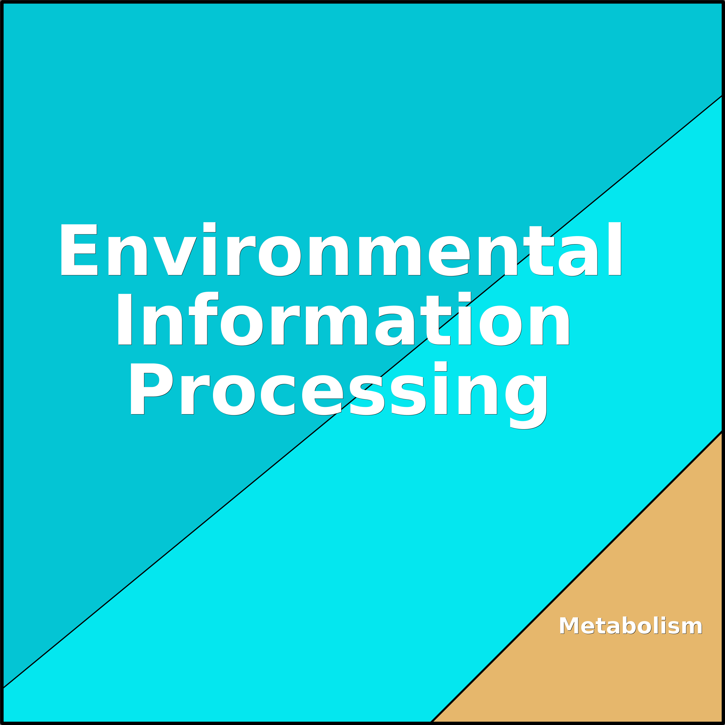 Treemap Press Ctrl-F5