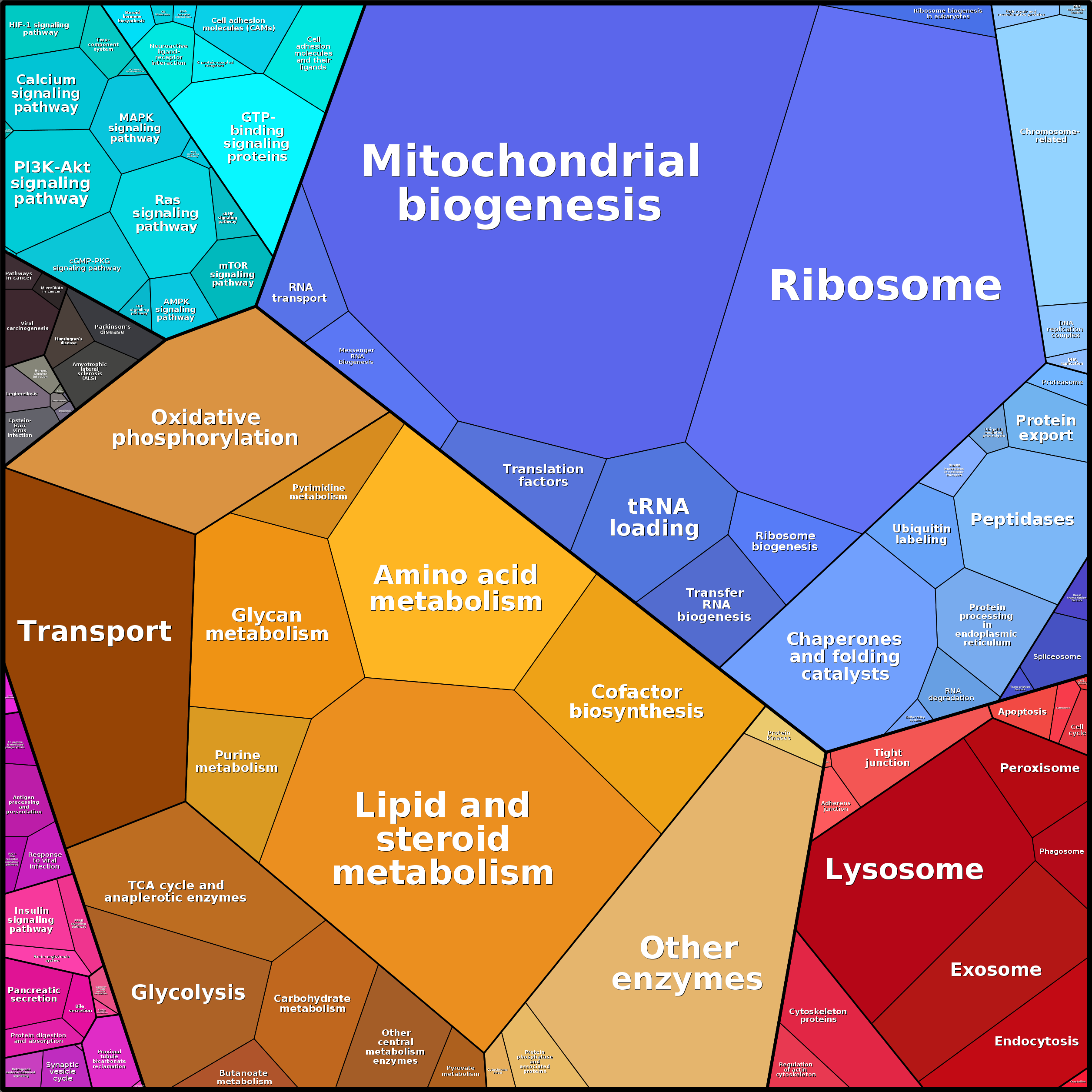 Treemap Press Ctrl-F5