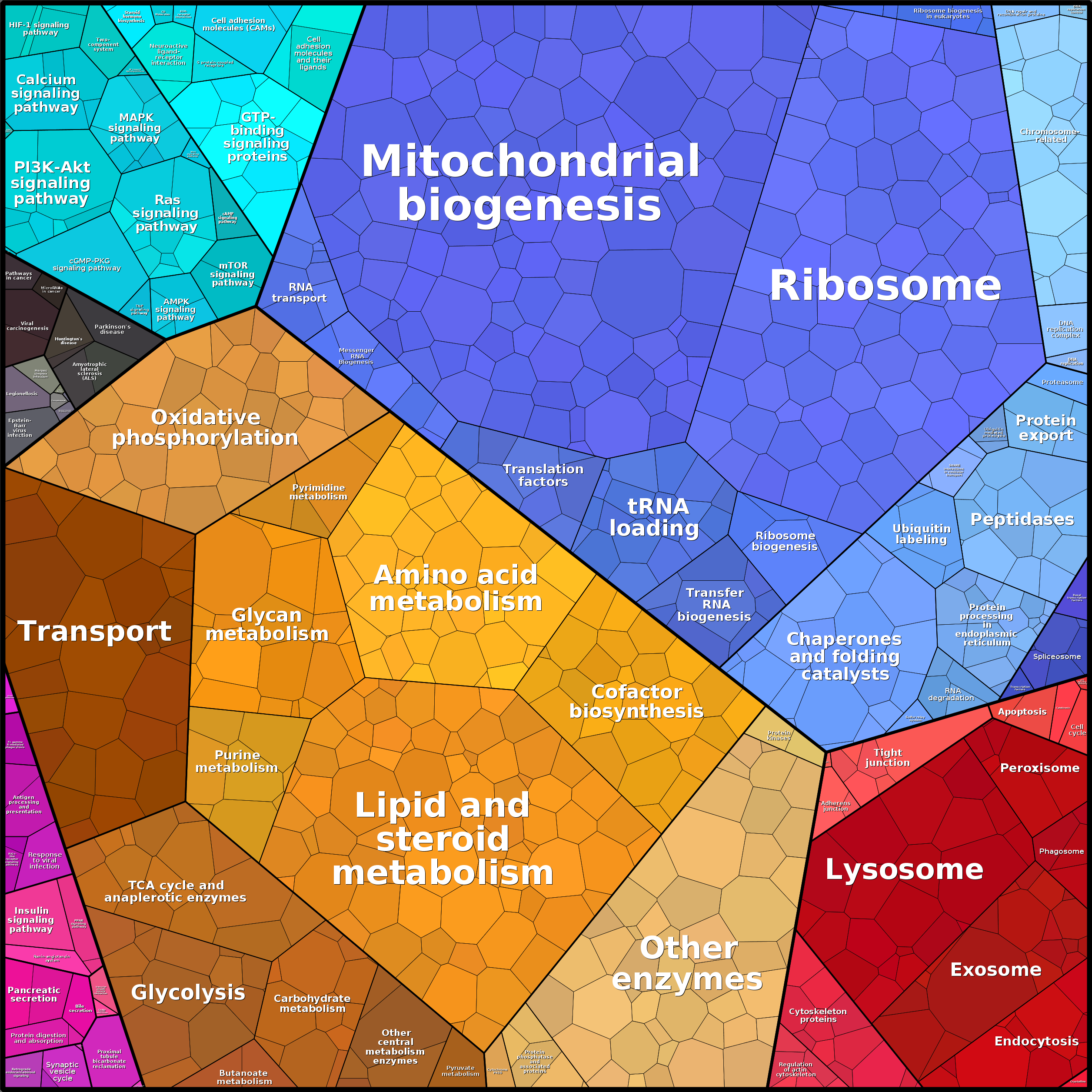 Treemap Press Ctrl-F5