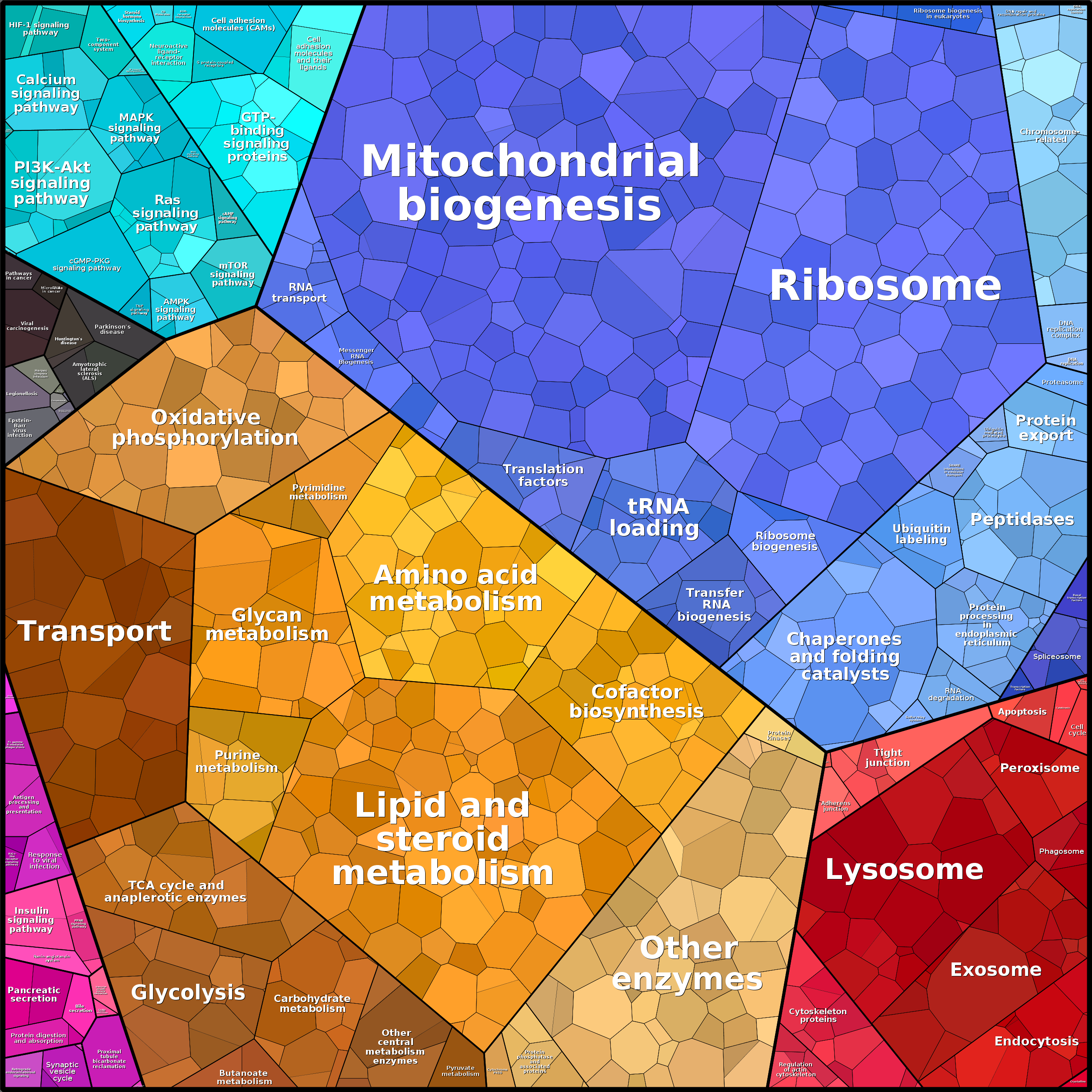 Treemap Press Ctrl-F5