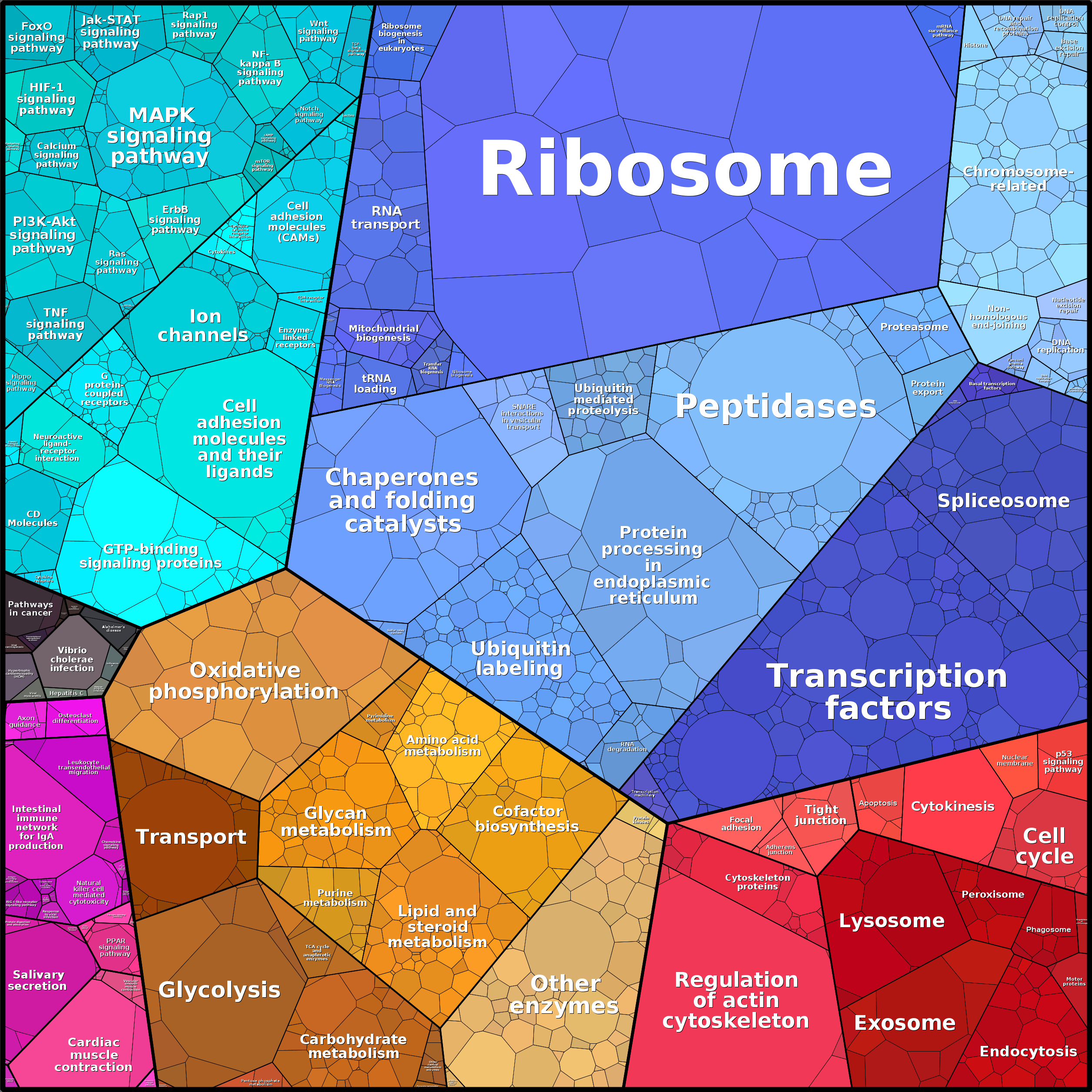 Treemap Press Ctrl-F5