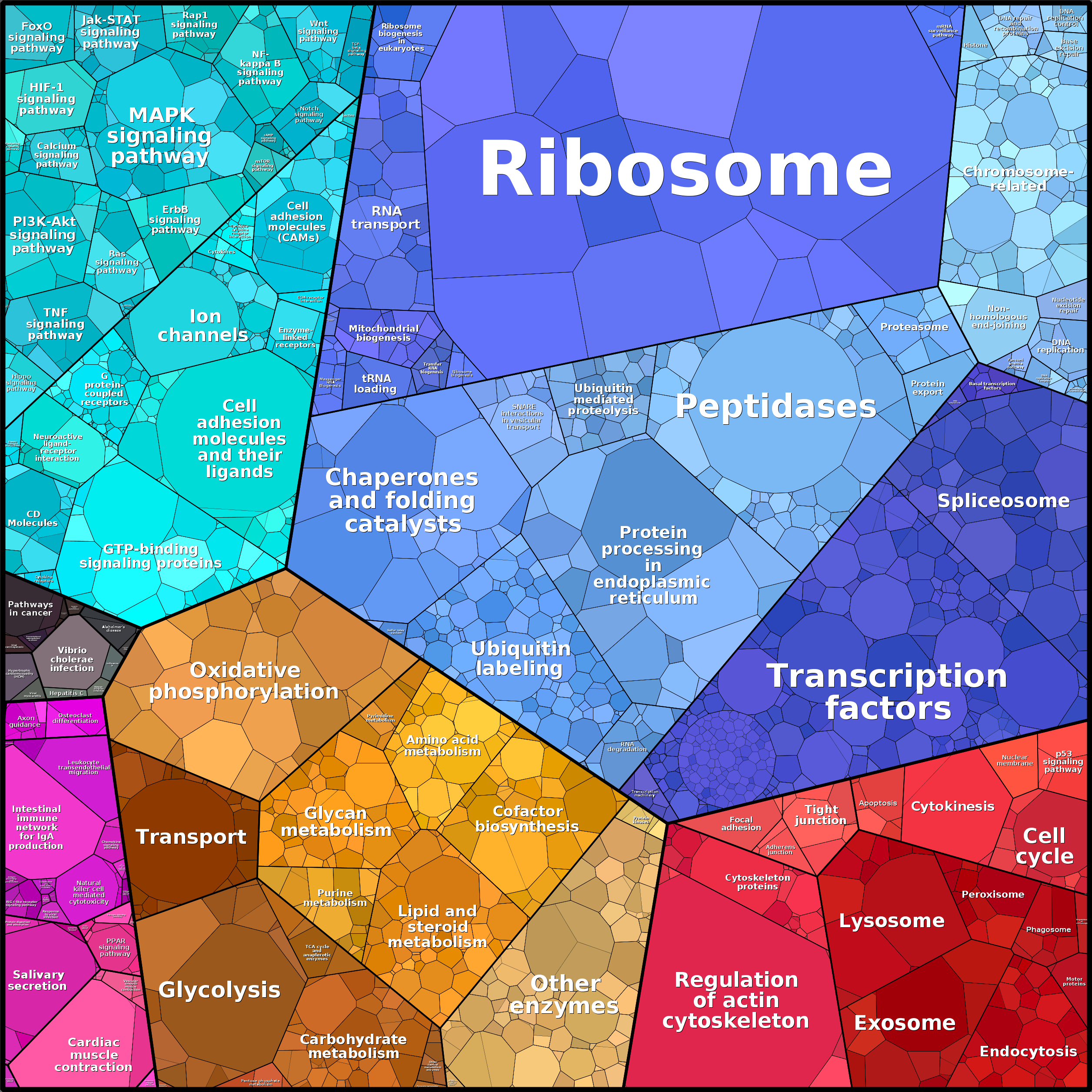 Treemap Press Ctrl-F5
