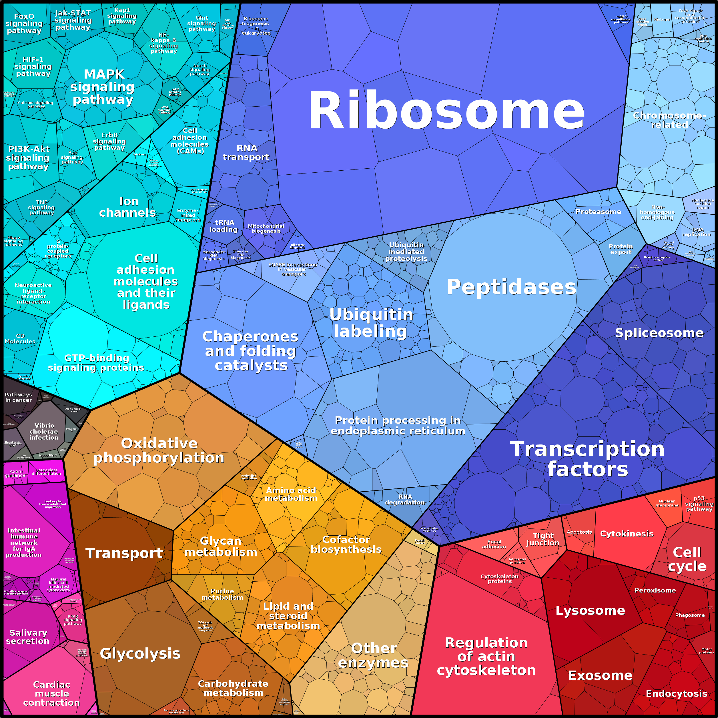 Treemap Press Ctrl-F5