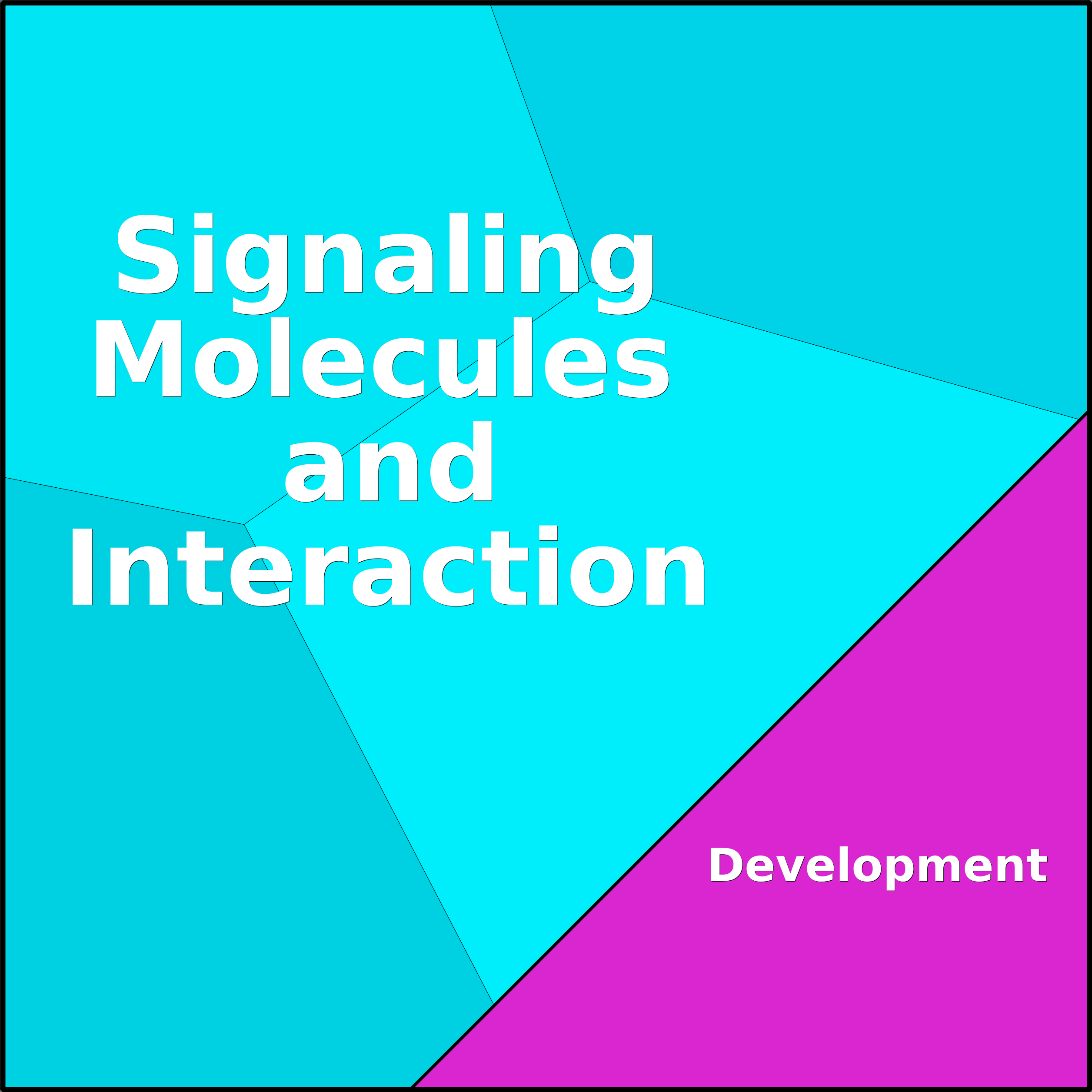 Treemap Press Ctrl-F5