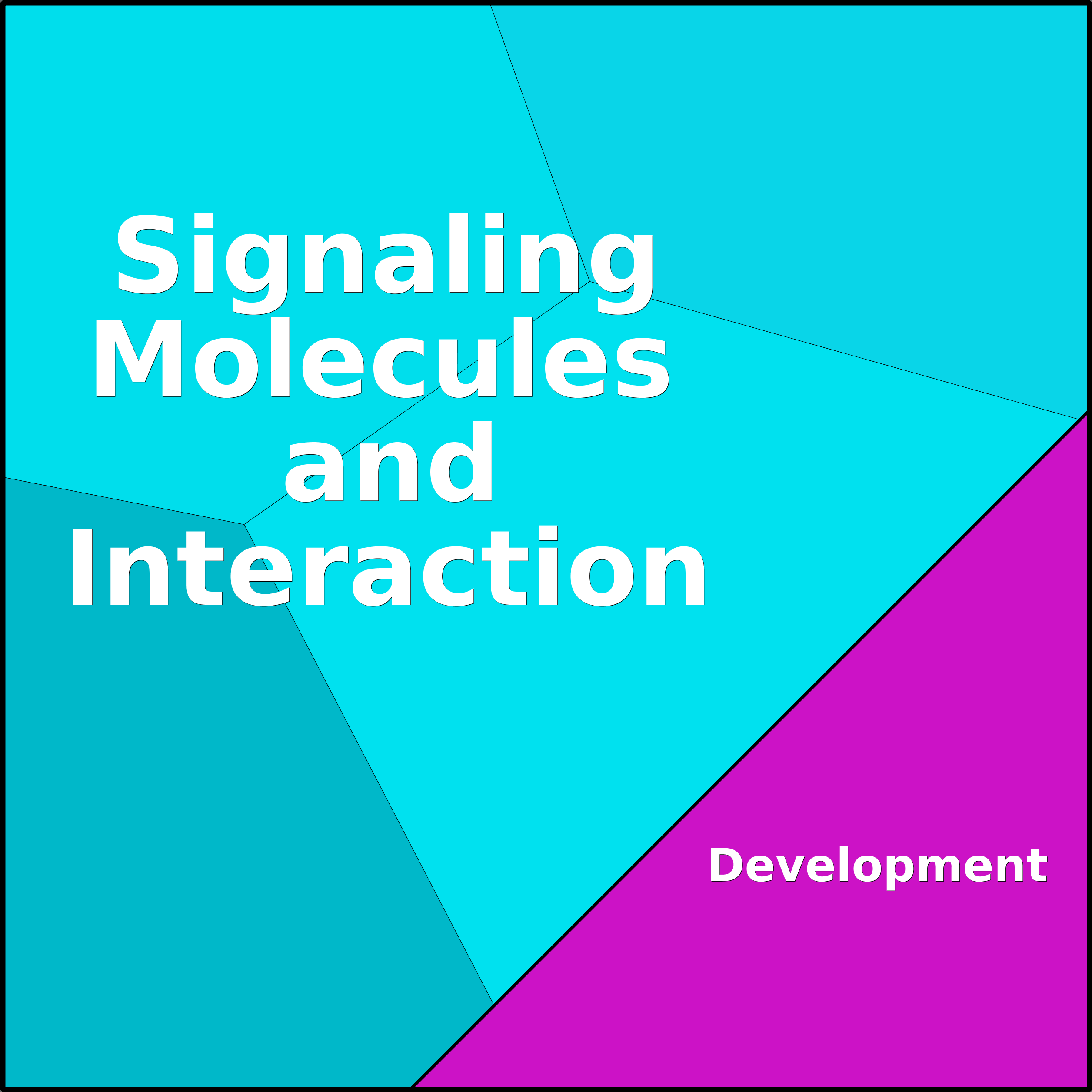 Treemap Press Ctrl-F5