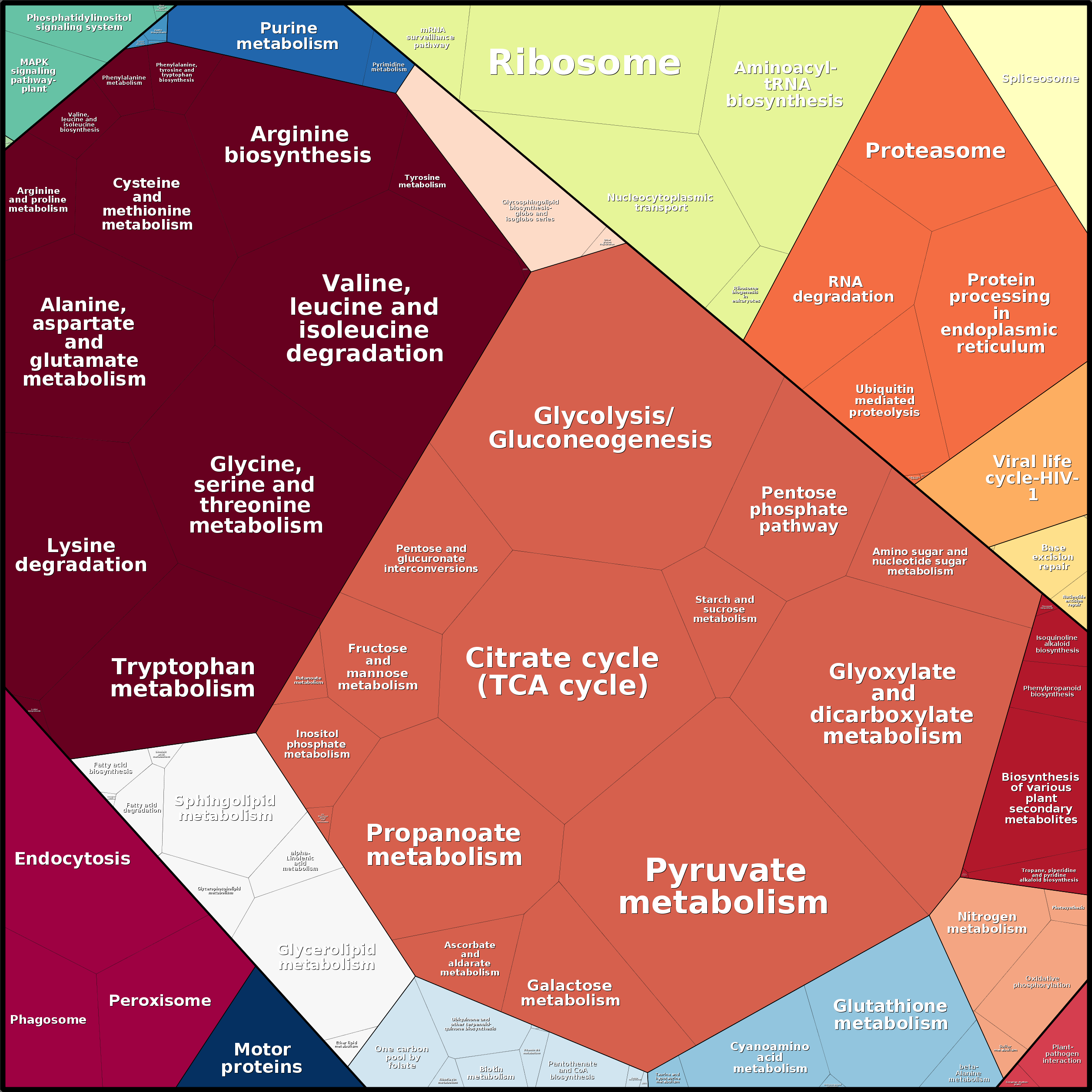 Treemap Press Ctrl-F5