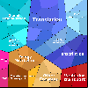 TRIT1_KO_IMMUNOPEPTIDOMICS
