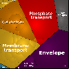 tki_xs_p