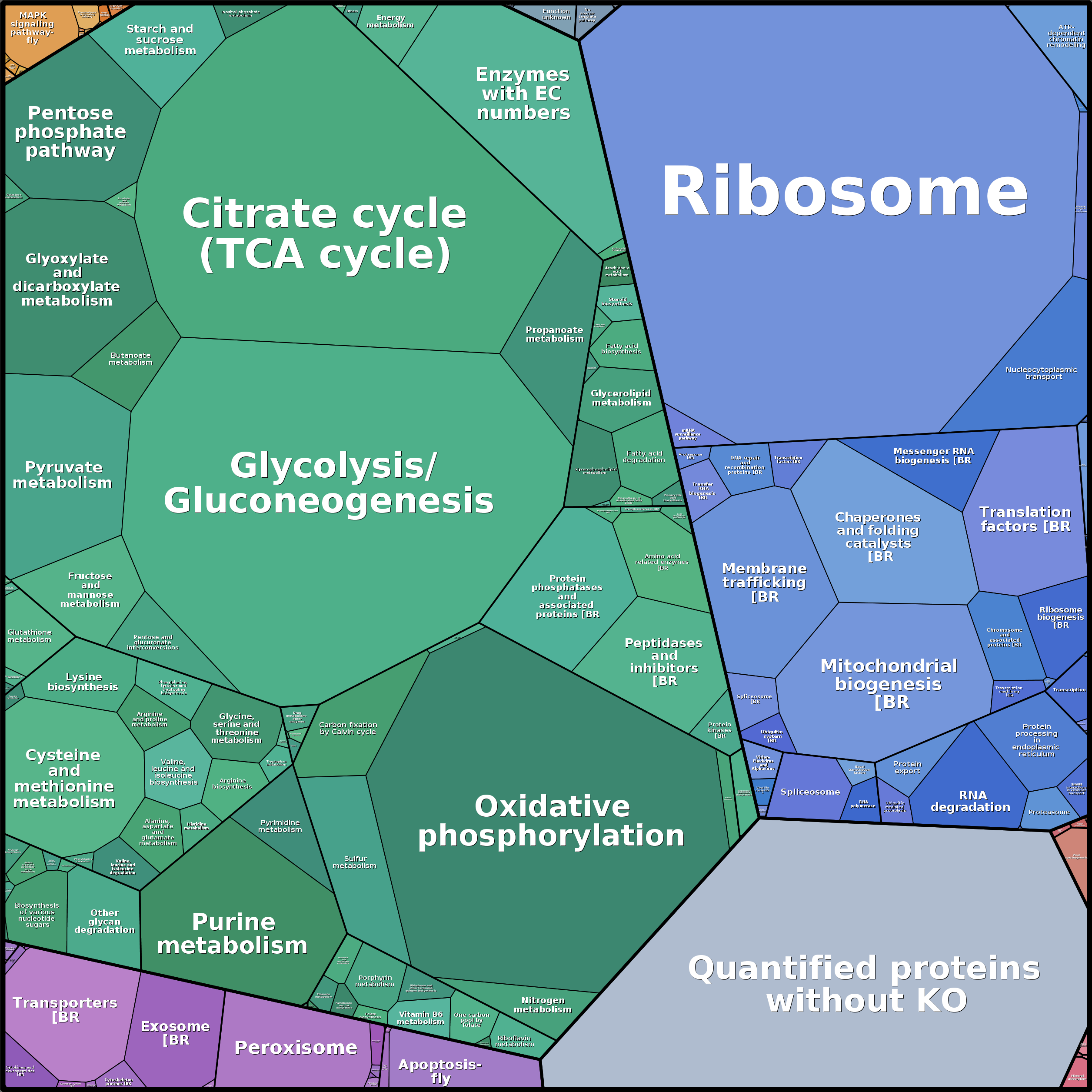 Treemap Press Ctrl-F5