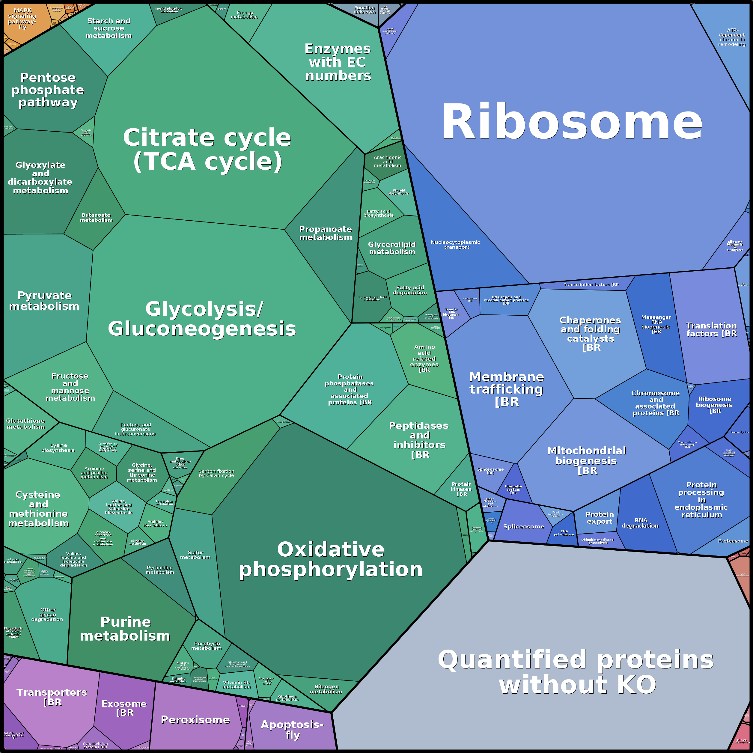 Treemap Press Ctrl-F5