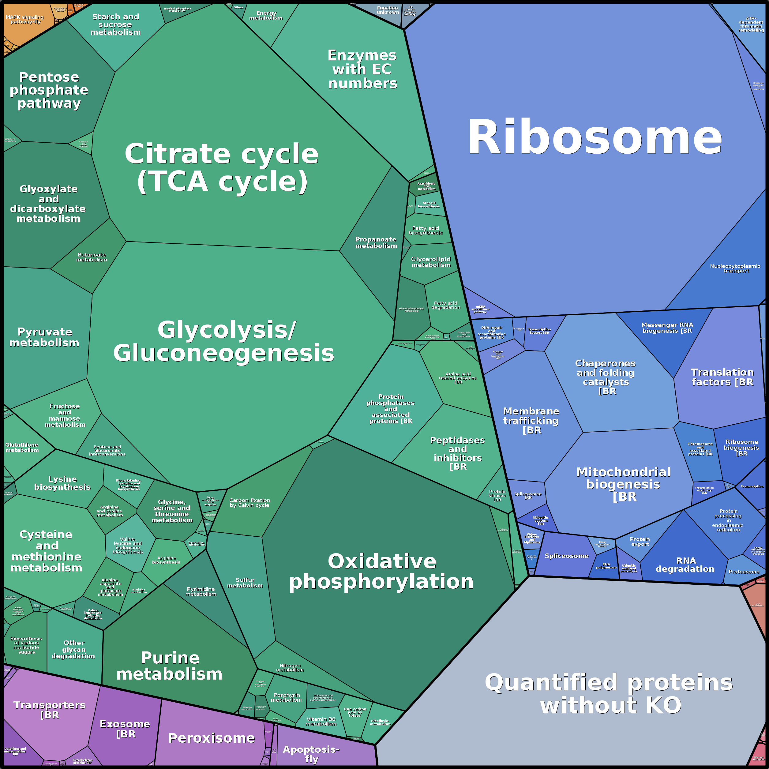 Treemap Press Ctrl-F5