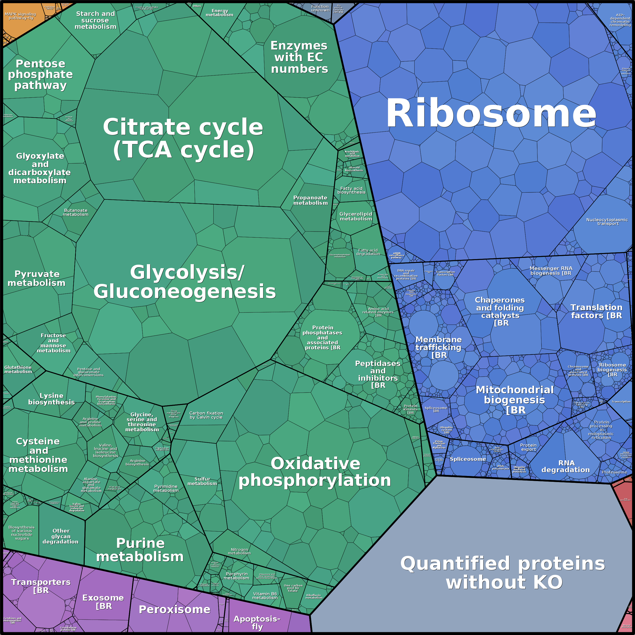 Treemap Press Ctrl-F5