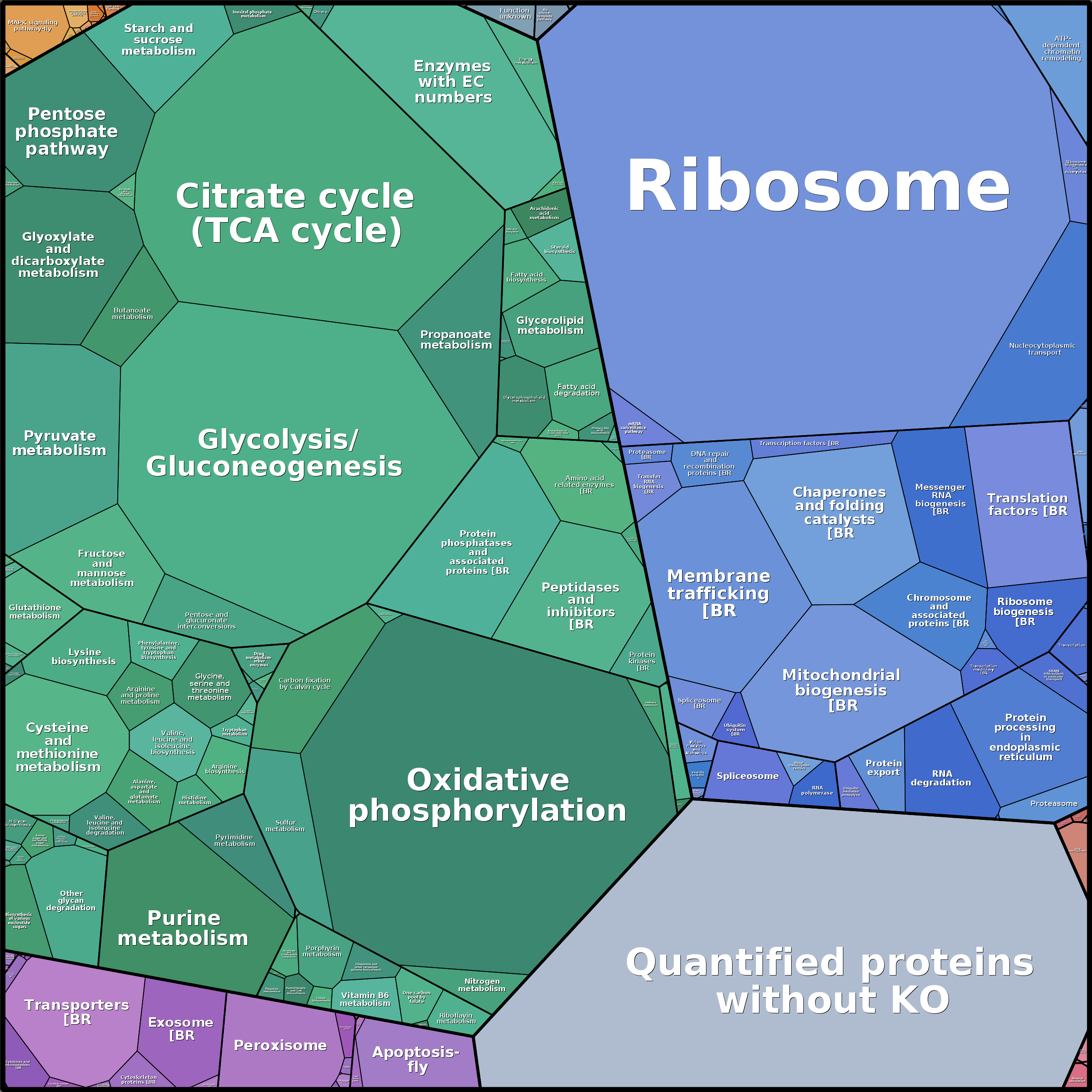 Treemap Press Ctrl-F5